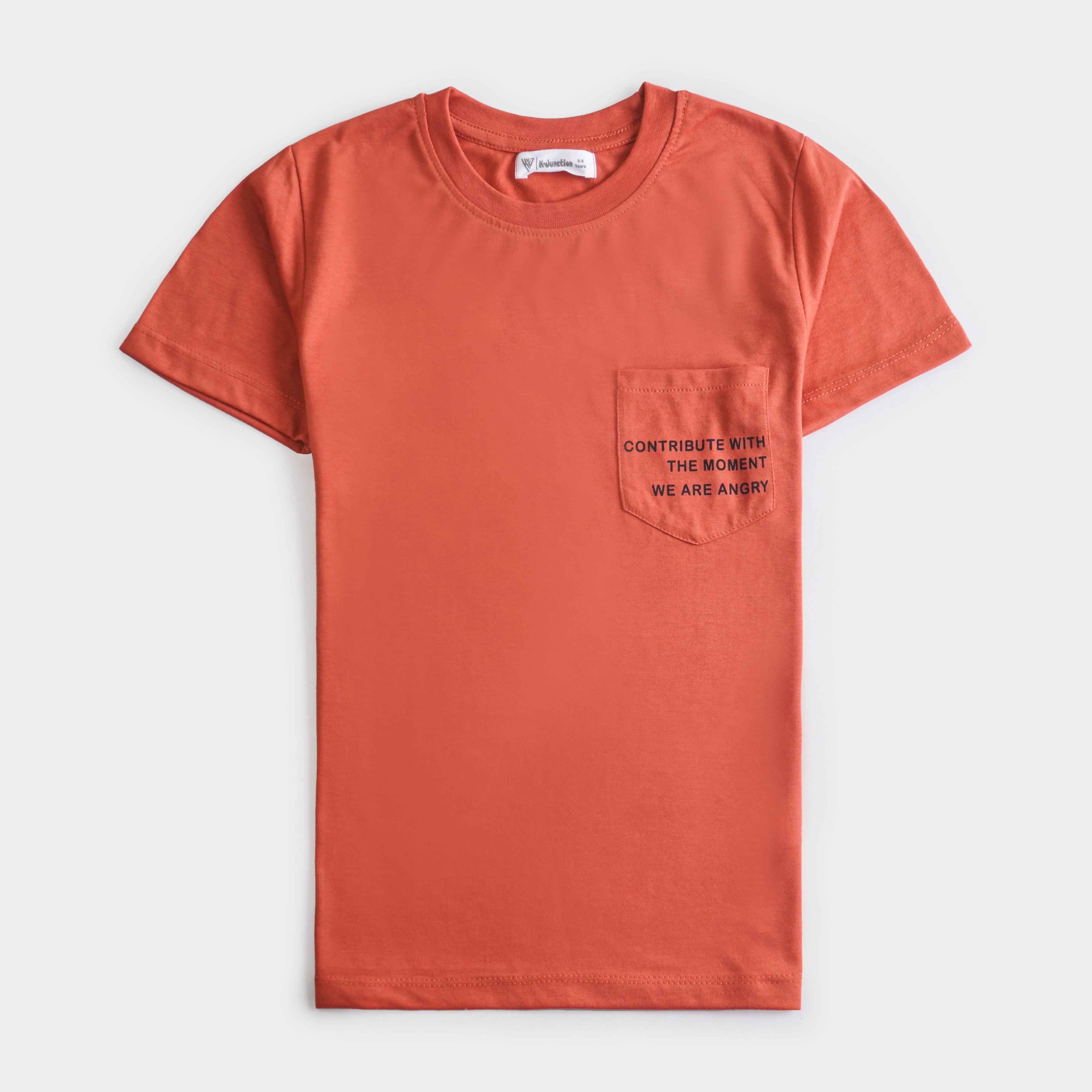 Boys Half Sleeves-Printed T-Shirt