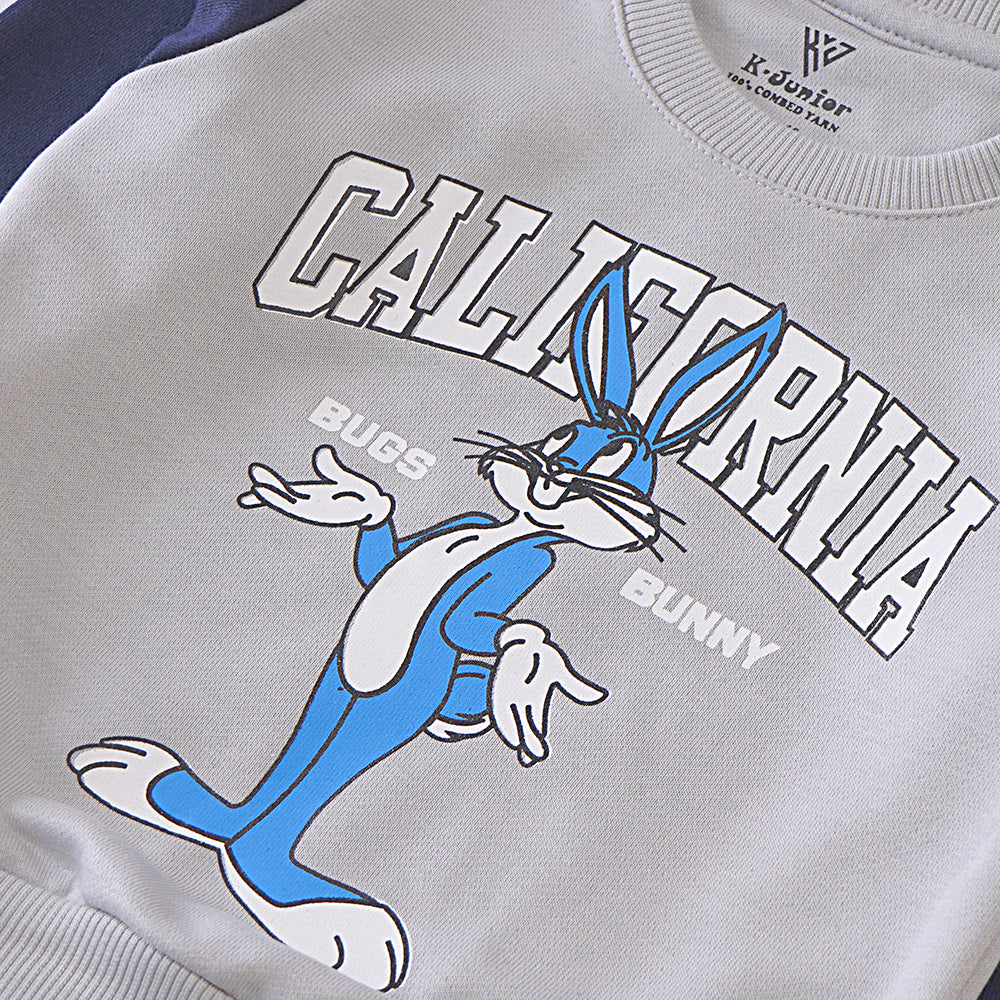 Boys Sweat Shirt