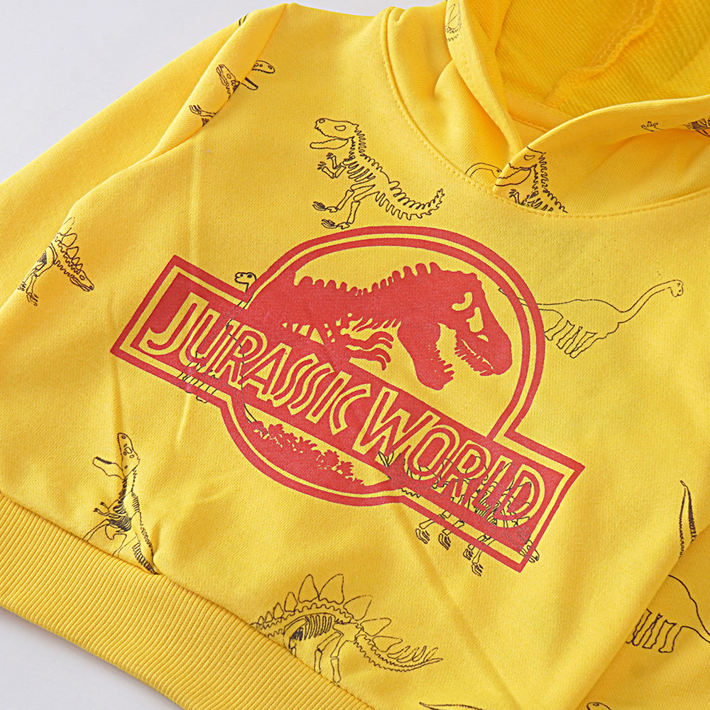 Boys Sweat Shirt