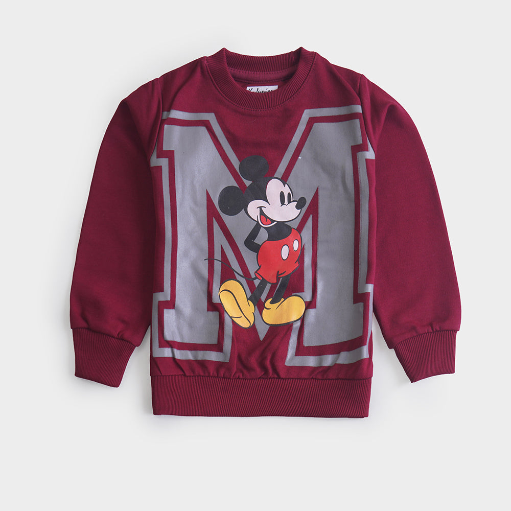 Boys Terry Sweat Shirt