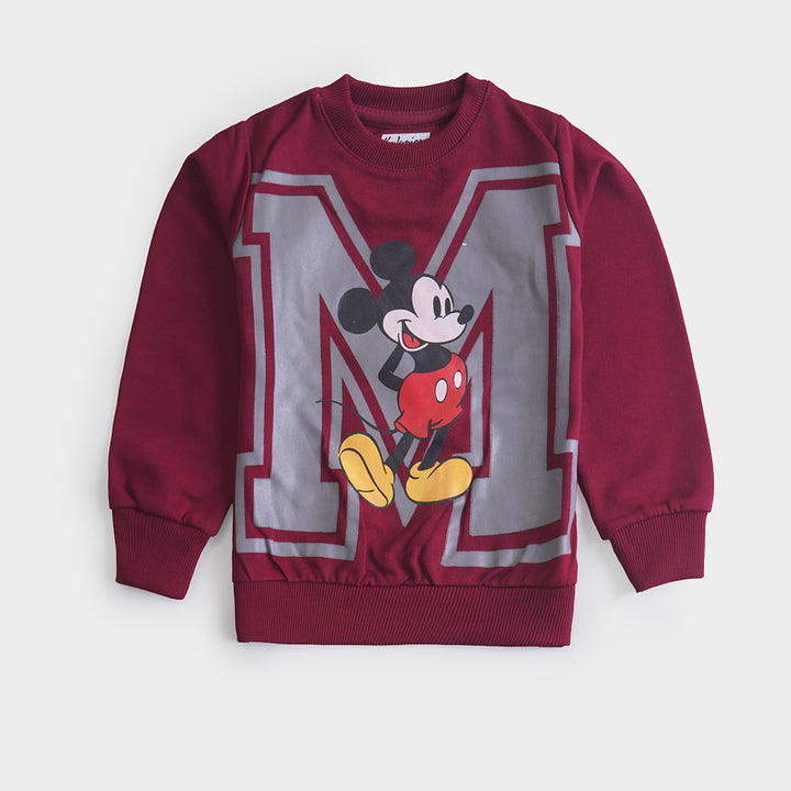Boys Terry Sweat Shirt