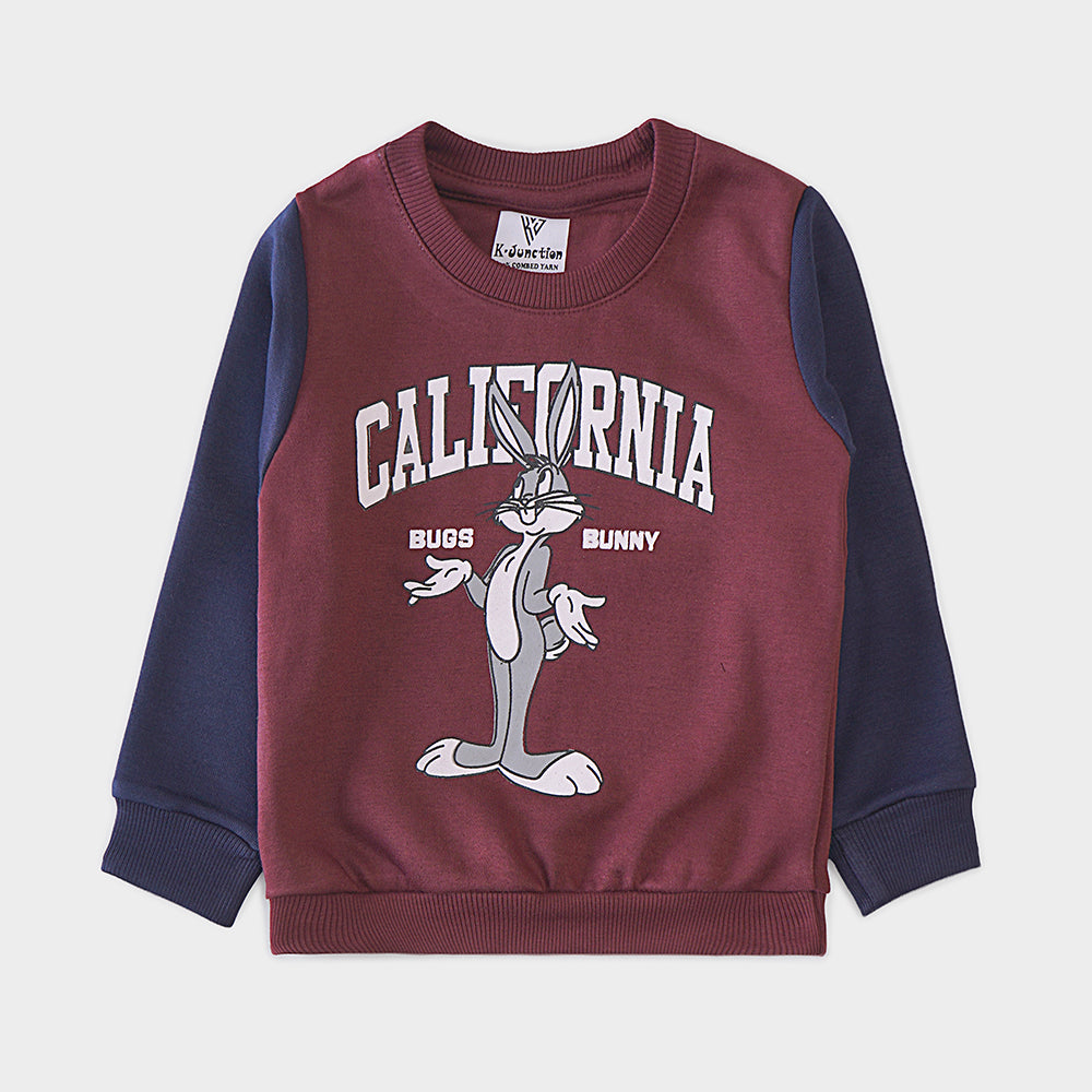 Boys Sweat Shirt