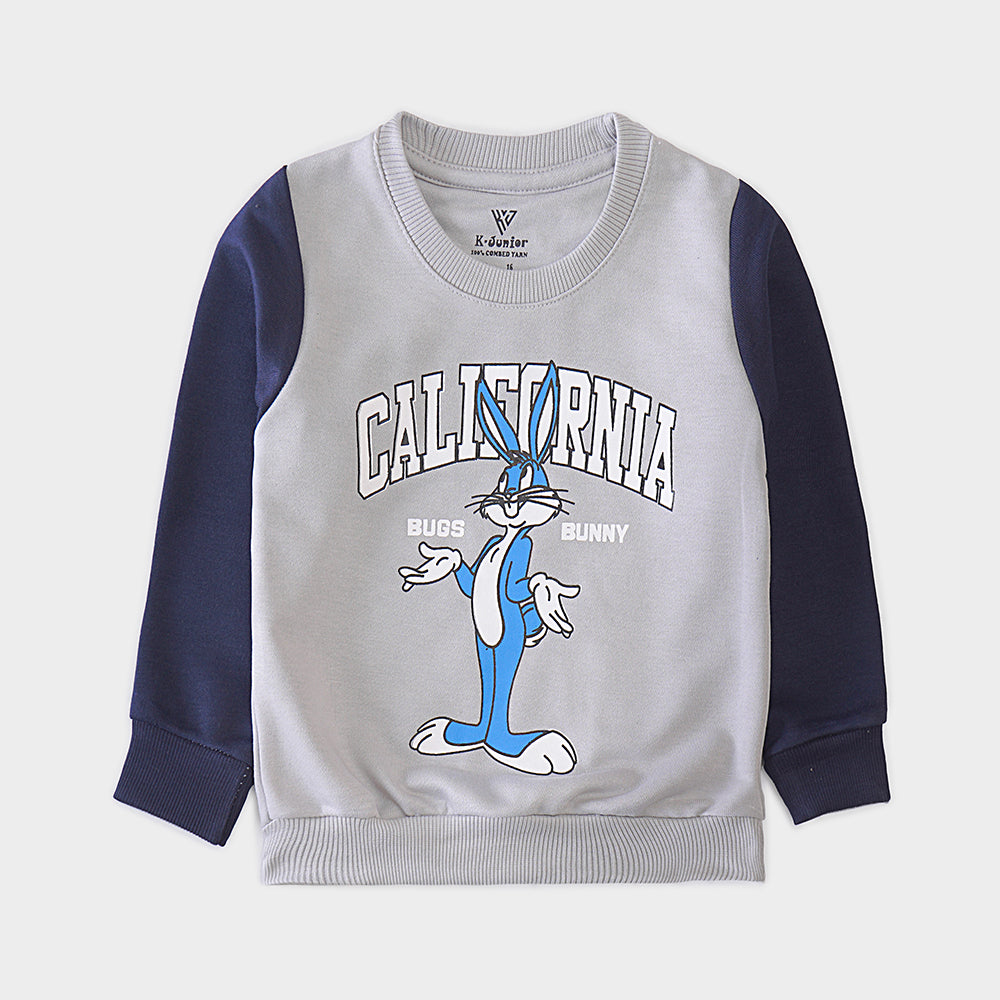 Boys Sweat Shirt