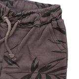 Boys Cotton Short Color Dark-Grey