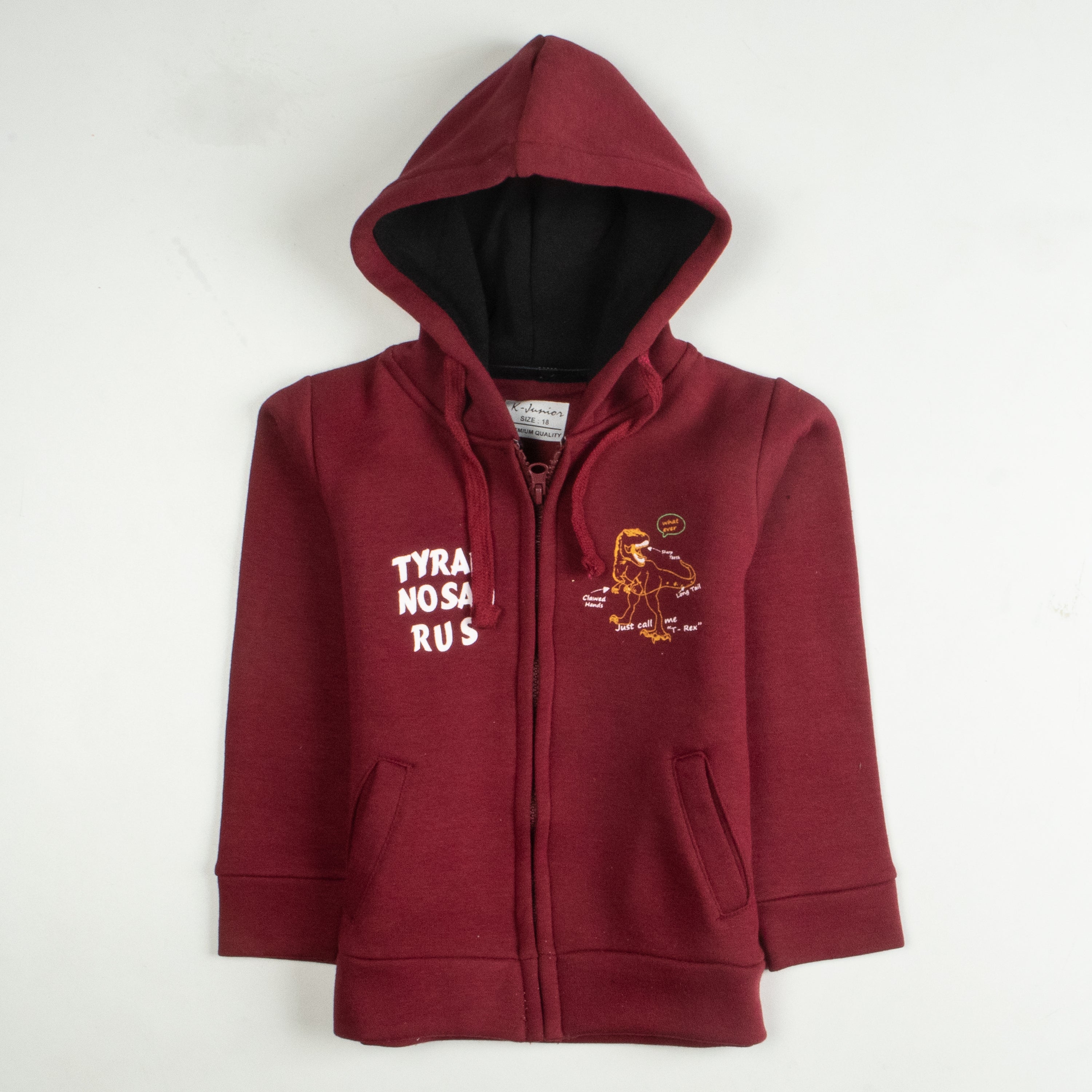 Boys Hoodies (Tryan)