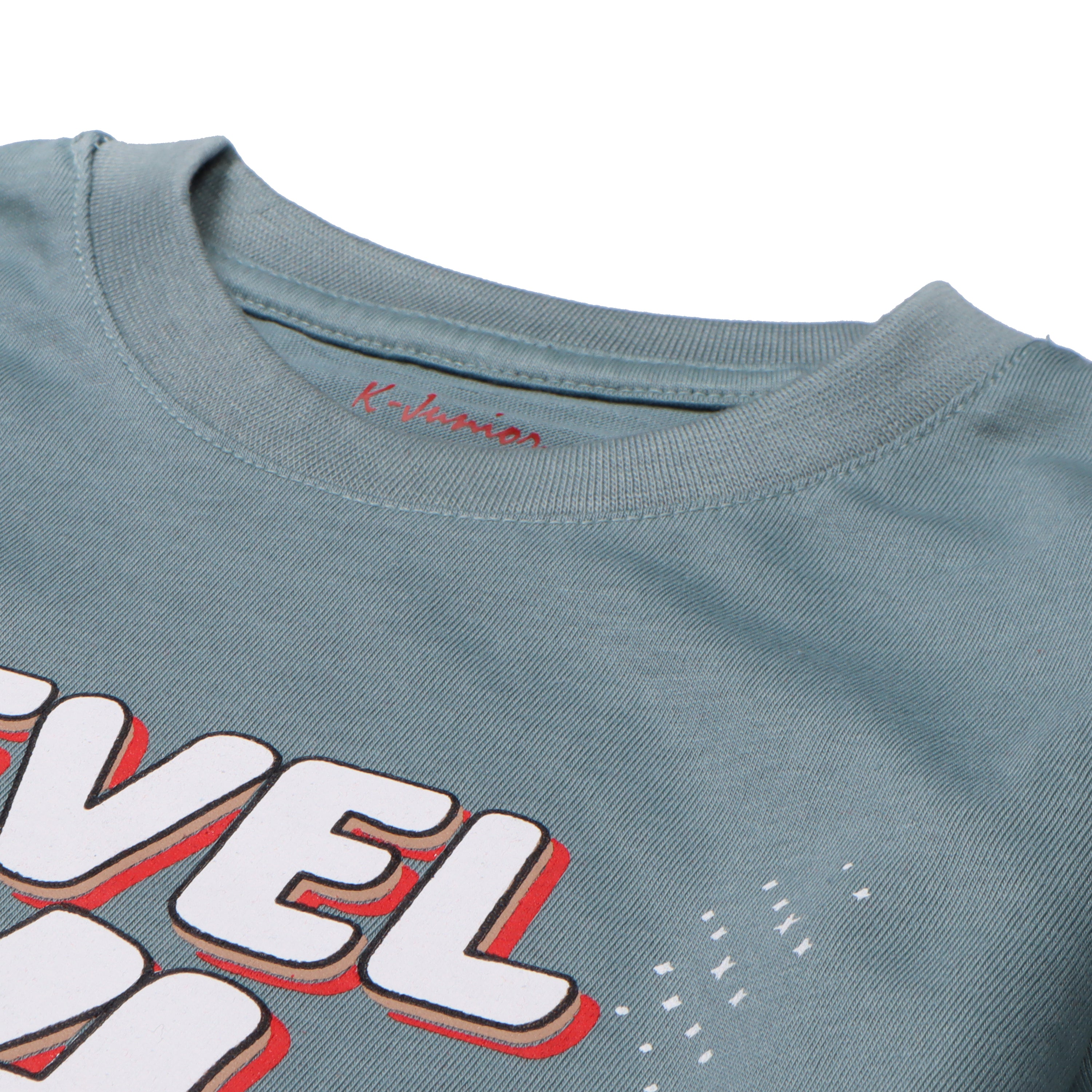 Infant Boys Half Sleeves-Printed T-Shirt (level-14)