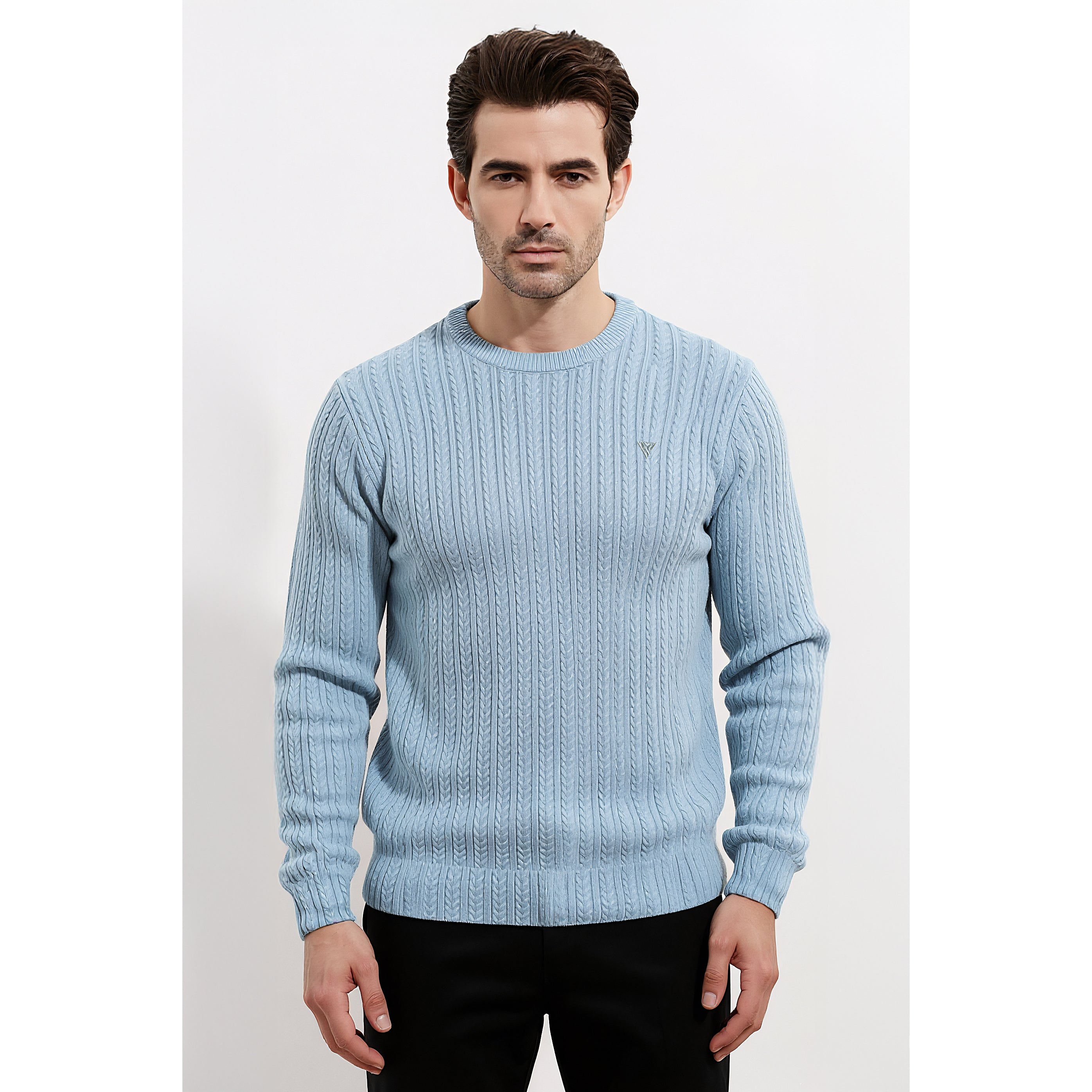 Mens Jacquard Sweatshirt
