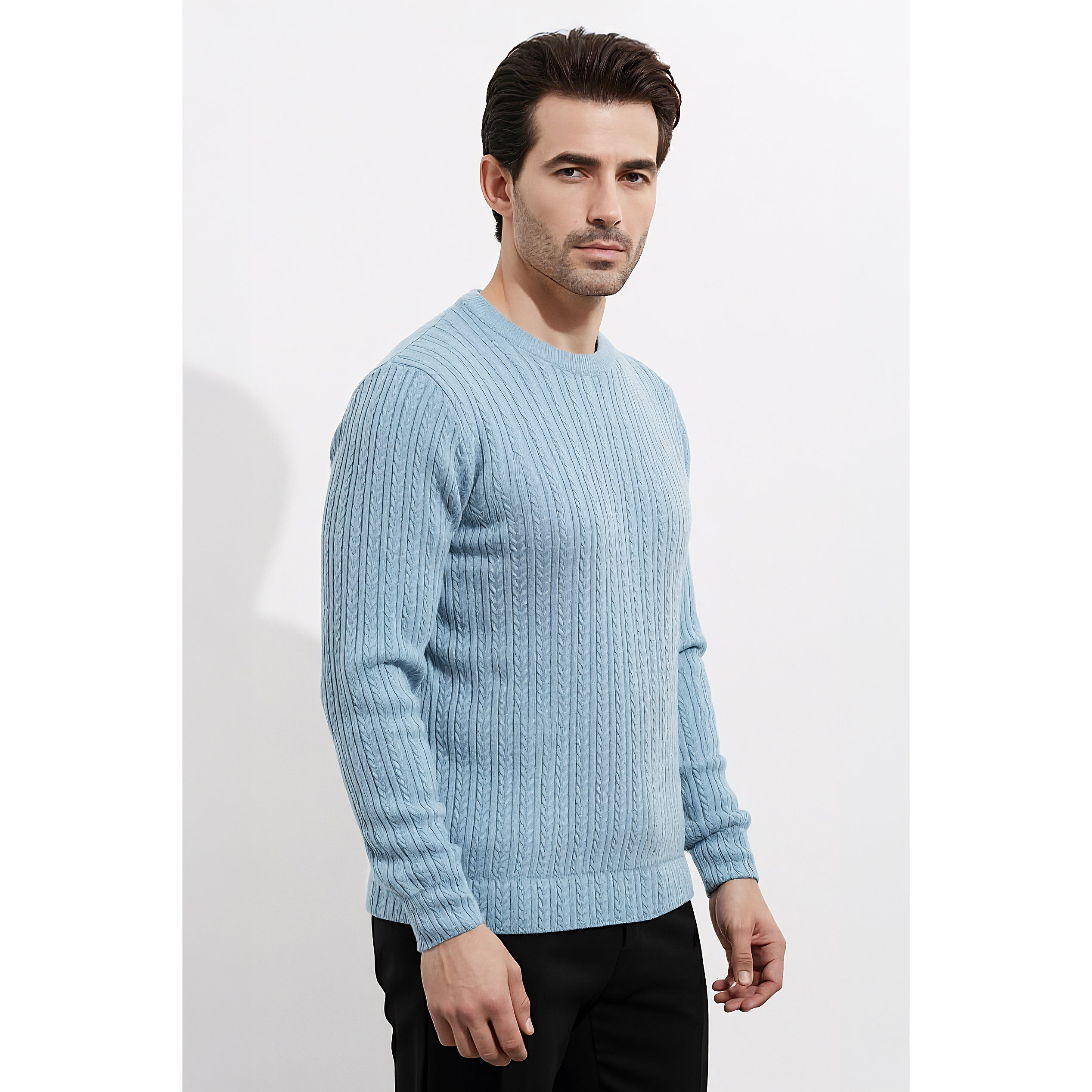 Mens Jacquard Sweatshirt