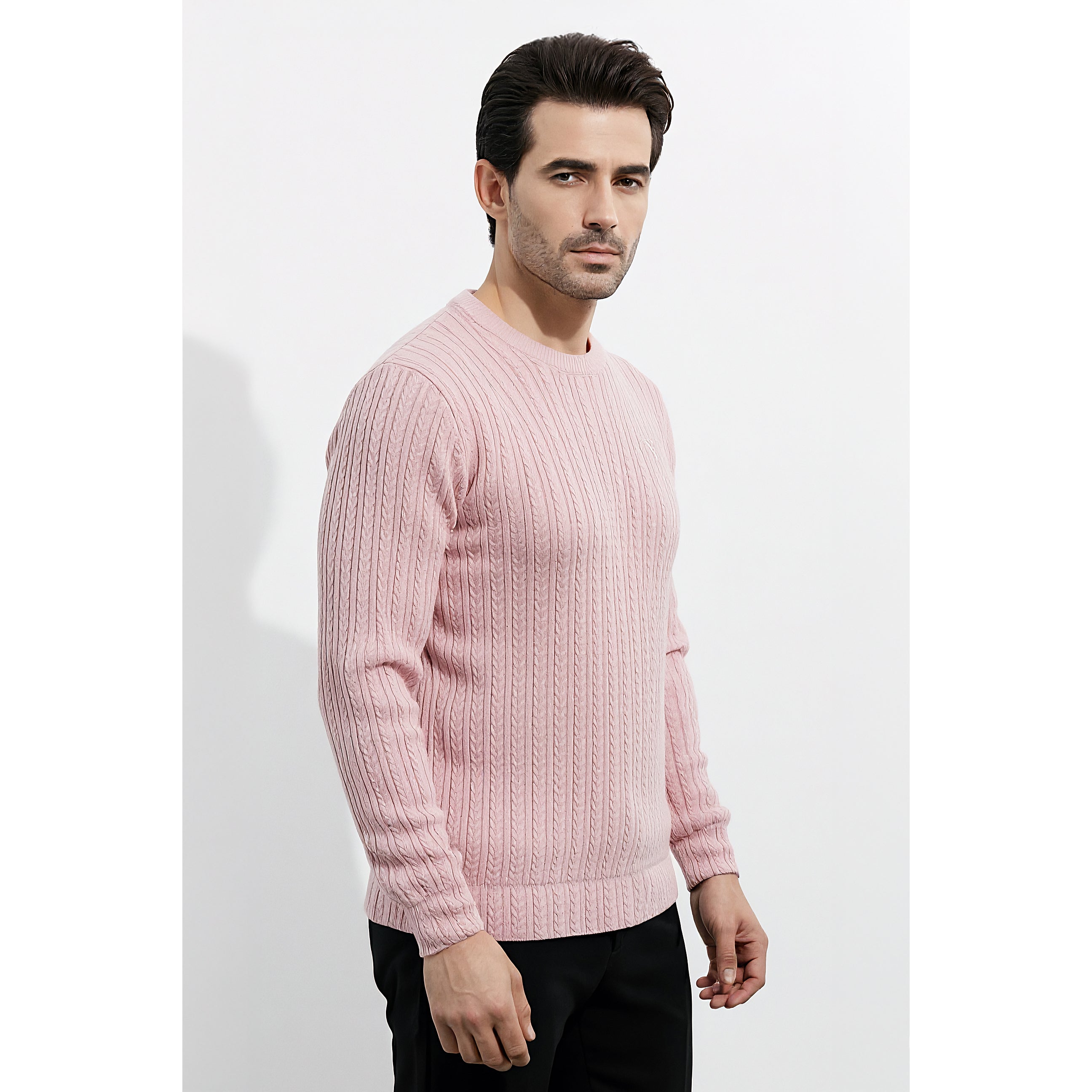 Mens Jacquard Sweatshirt