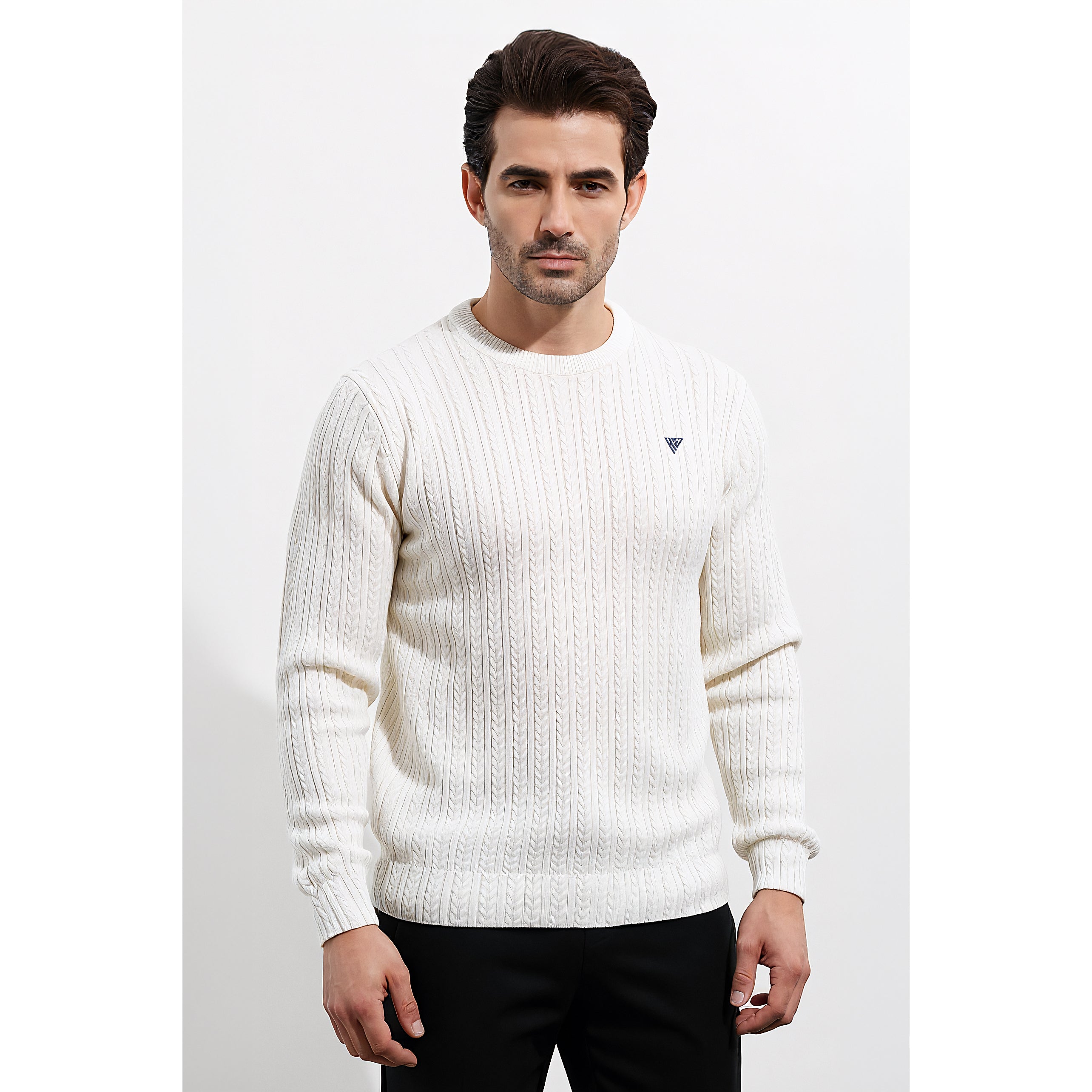 Mens Jacquard Sweatshirt