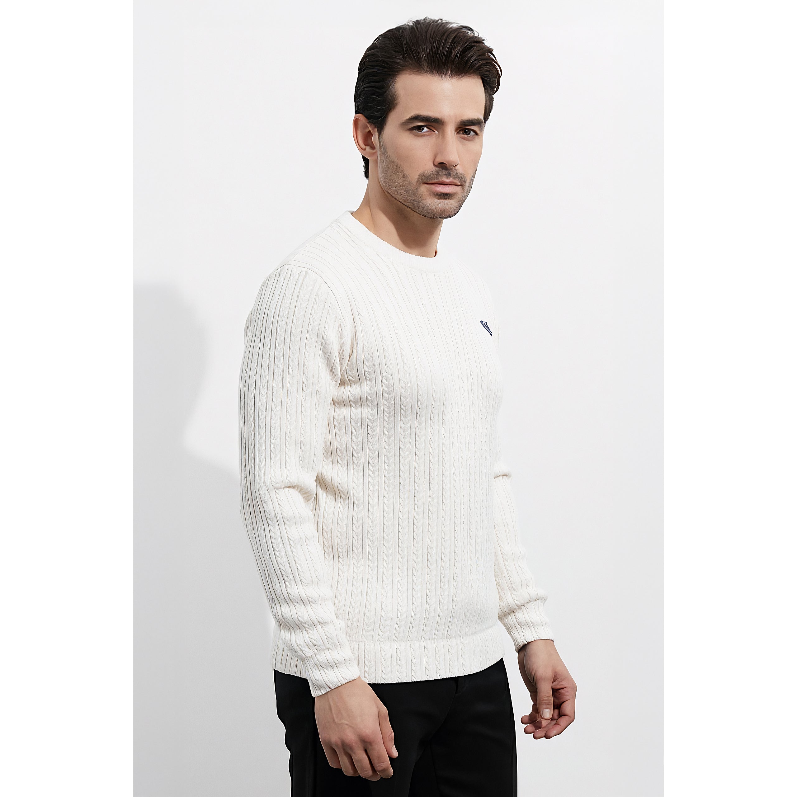 Mens Jacquard Sweatshirt