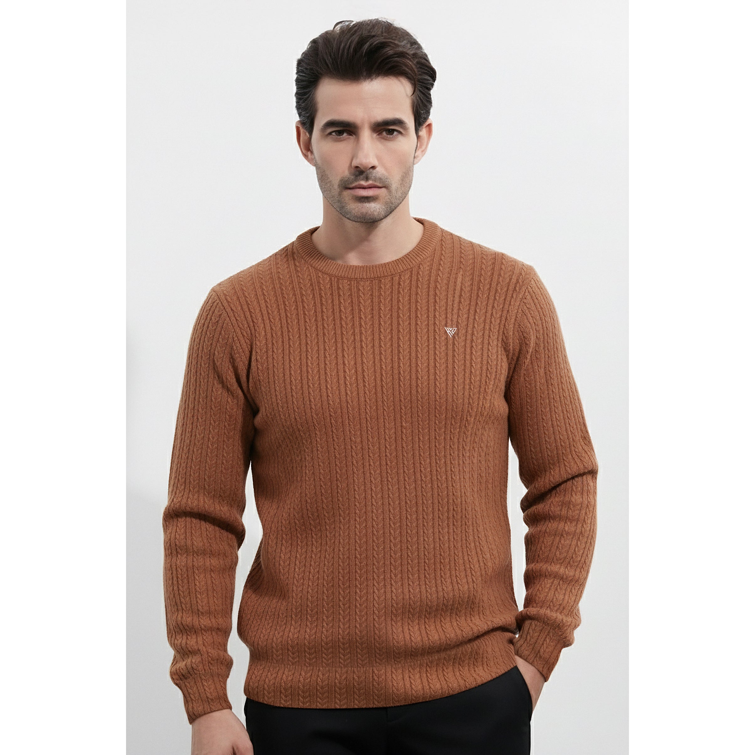 Mens Jacquard Sweatshirt