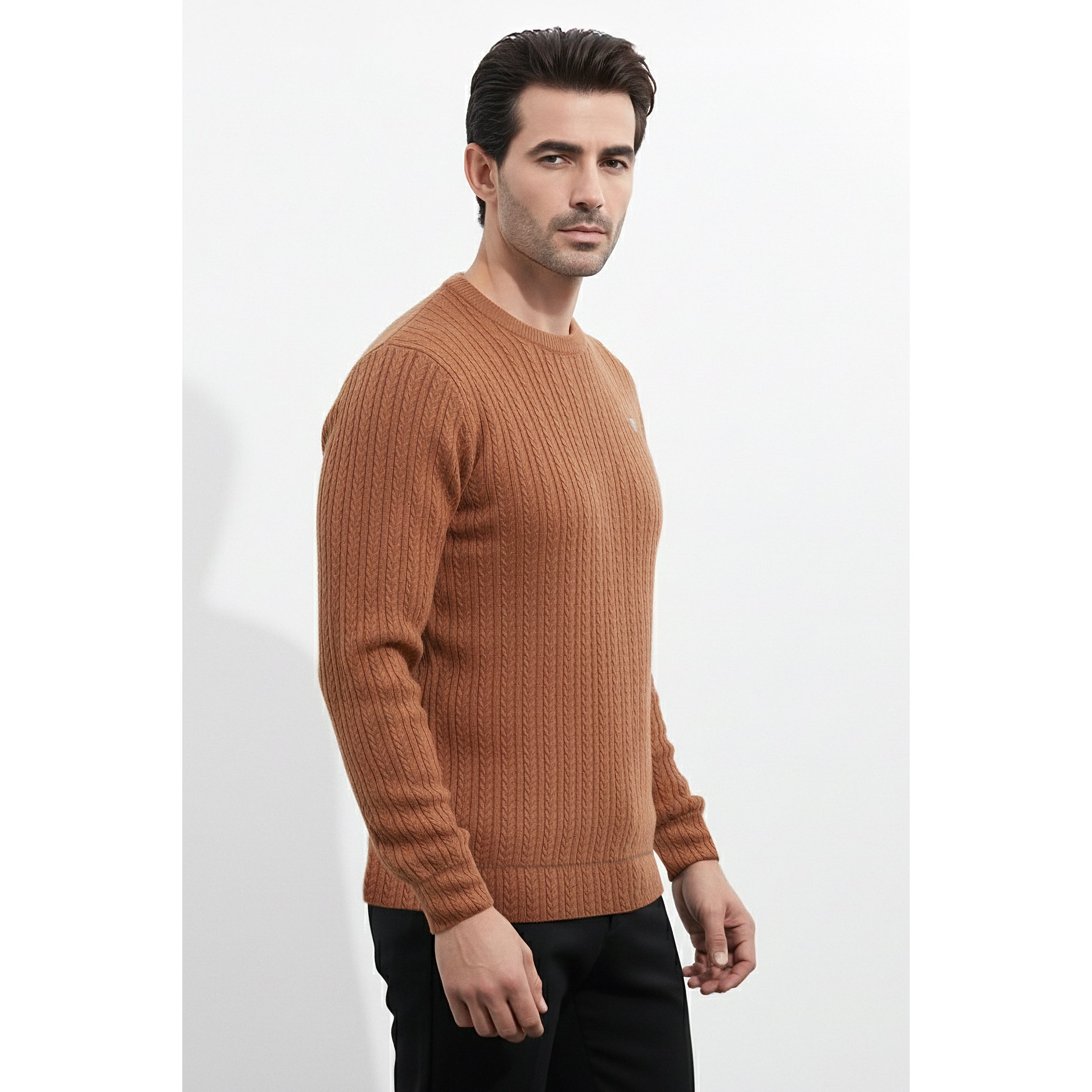 Mens Jacquard Sweatshirt