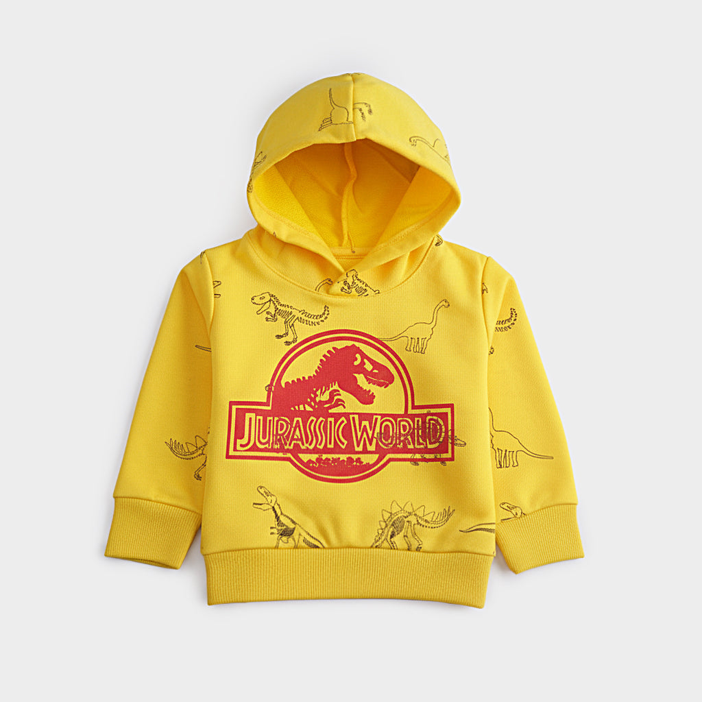 Boys Printed Full Sleeve Sweat T-Shirt (7326)