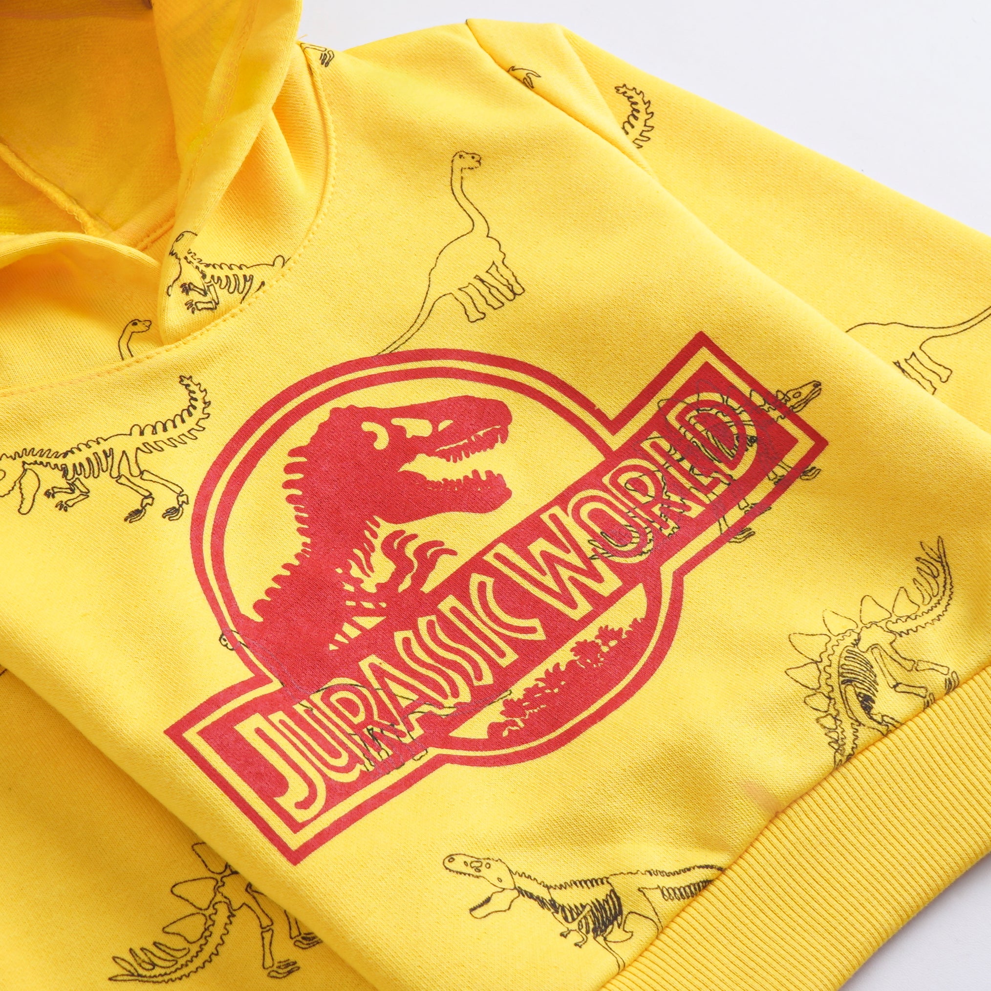 Boys Printed Full Sleeve Sweat T-Shirt (7326)