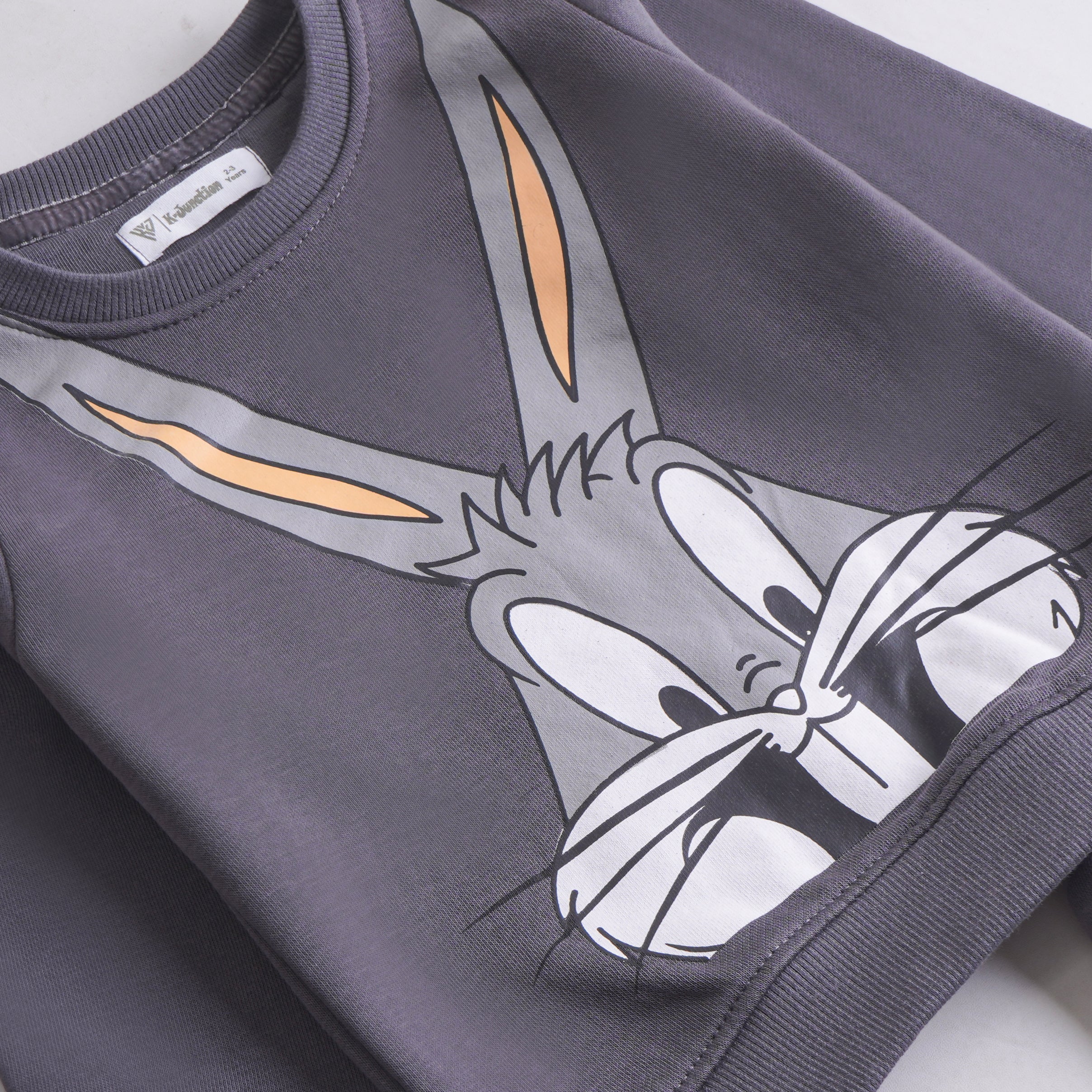 Boys Fleece Sweatshirt