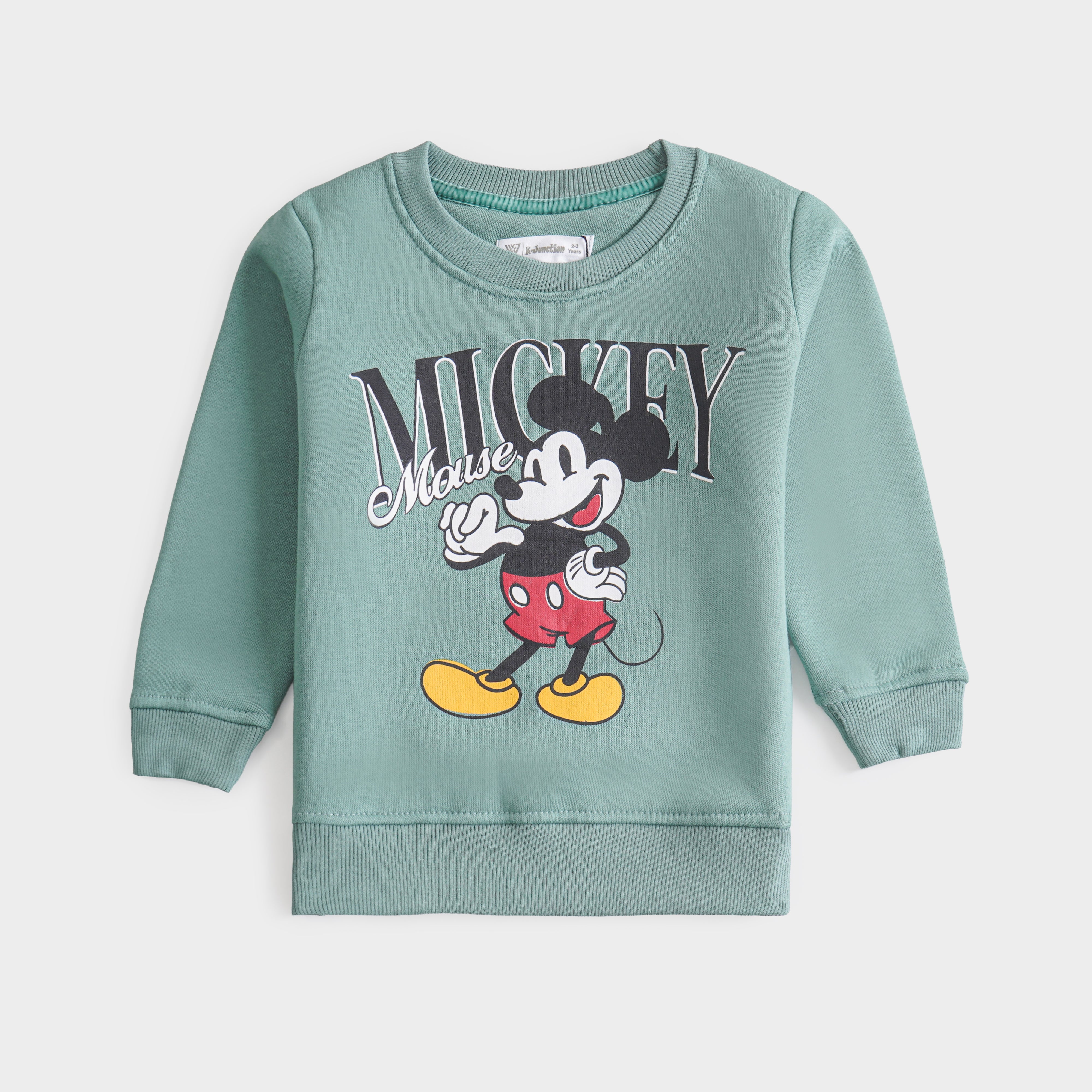 Boys Fleece Sweatshirt