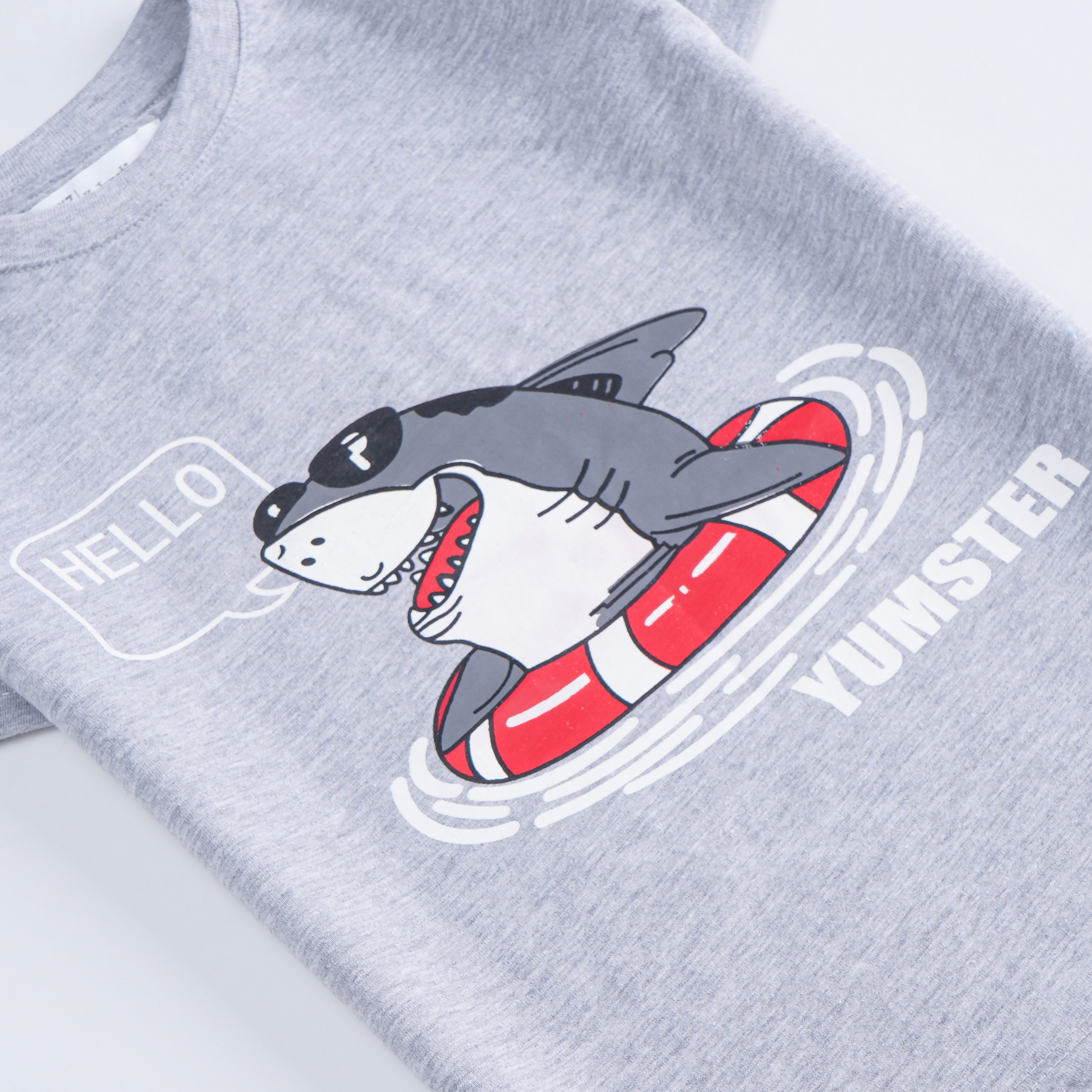 Boys Half Sleeves-Printed T-Shirt