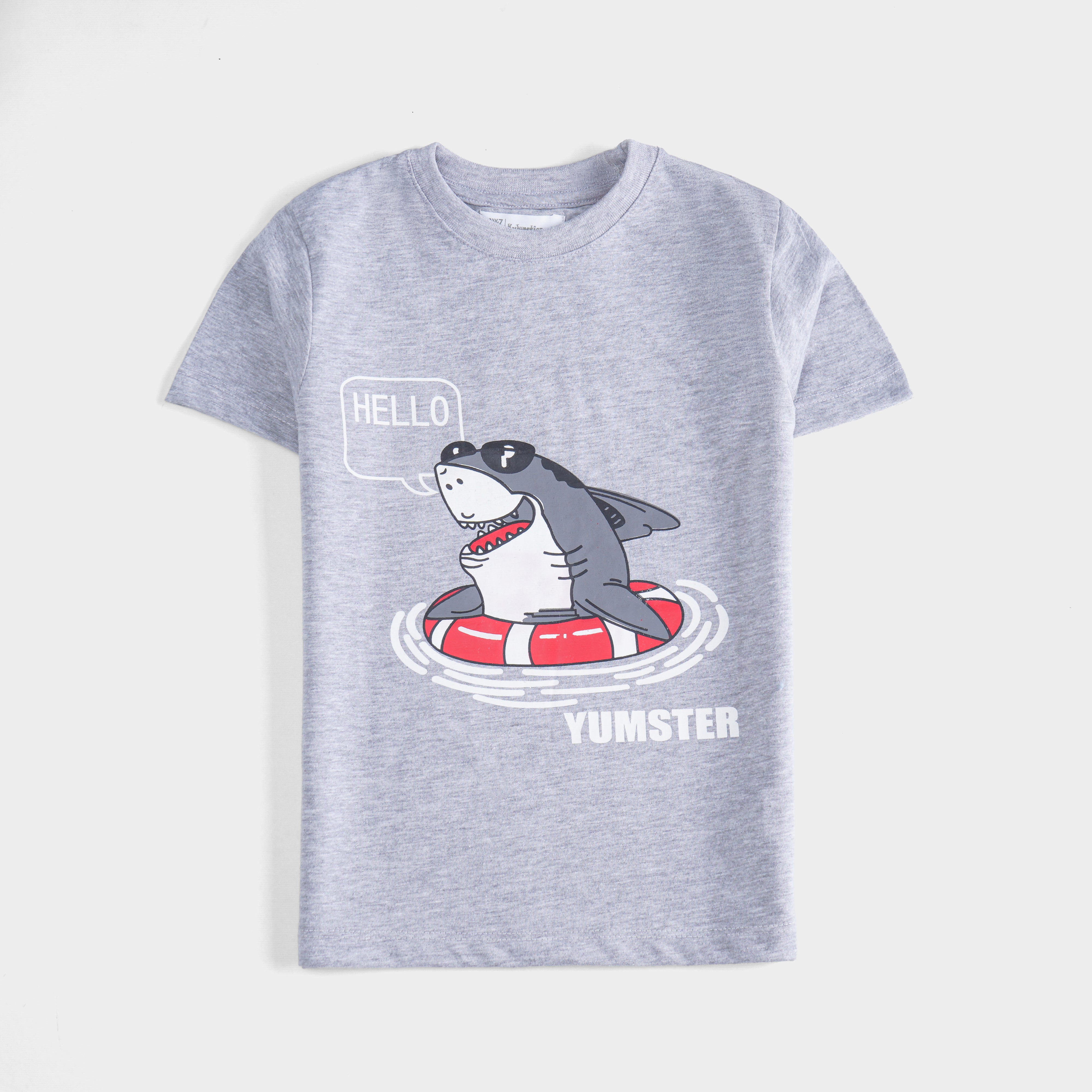 Boys Half Sleeves-Printed T-Shirt