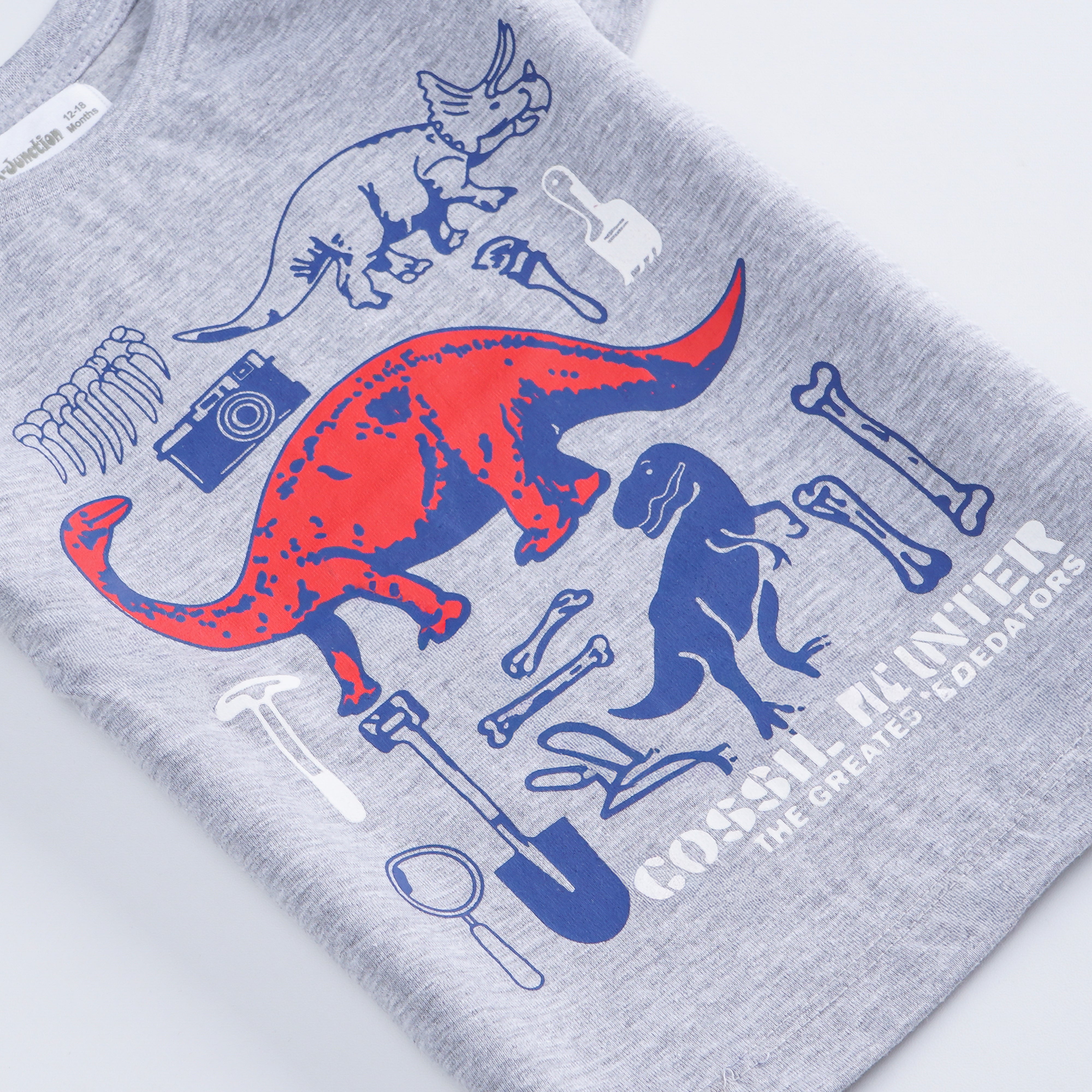 Boys Half Sleeves-Printed T-Shirt