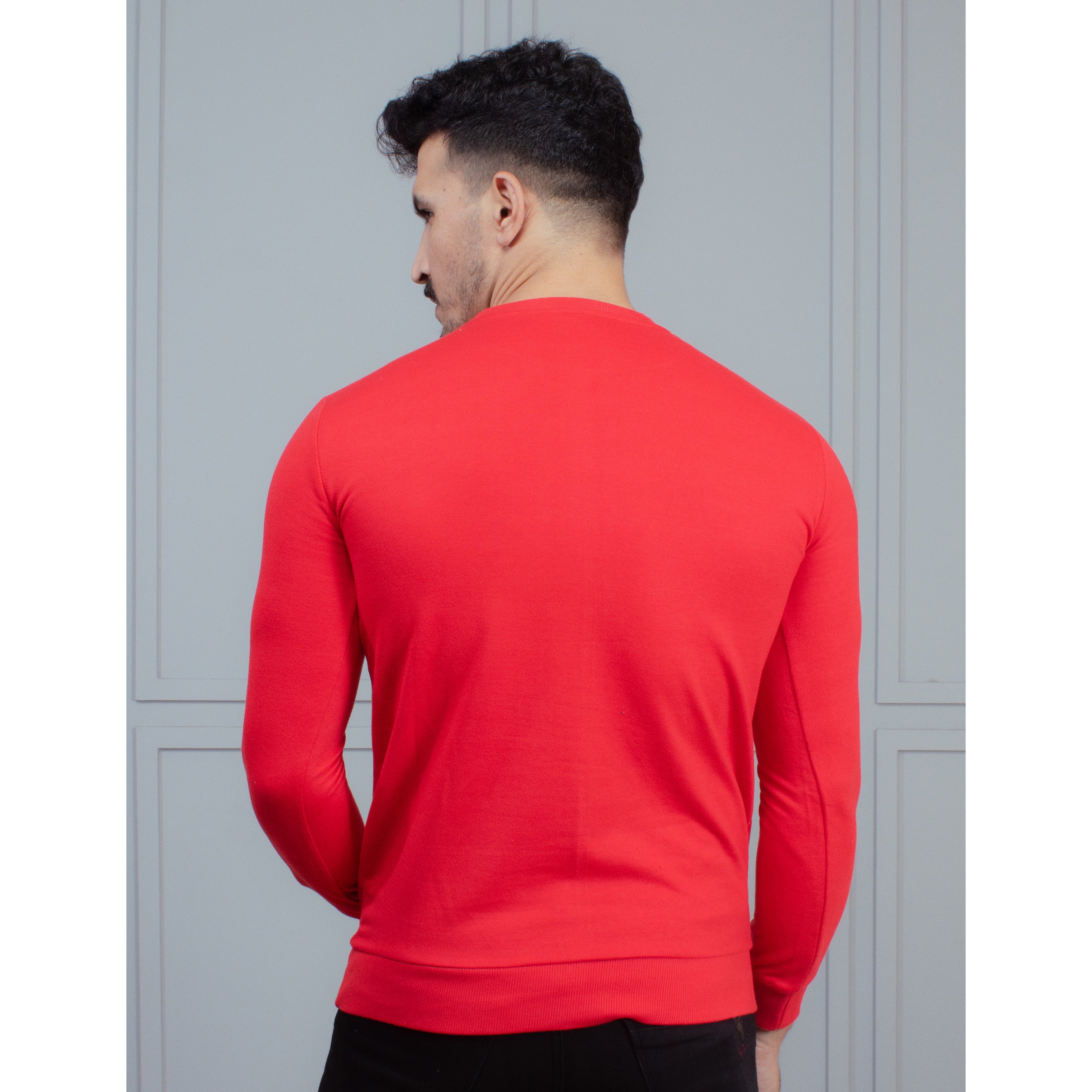 Mens Sweatshirt (Casual)