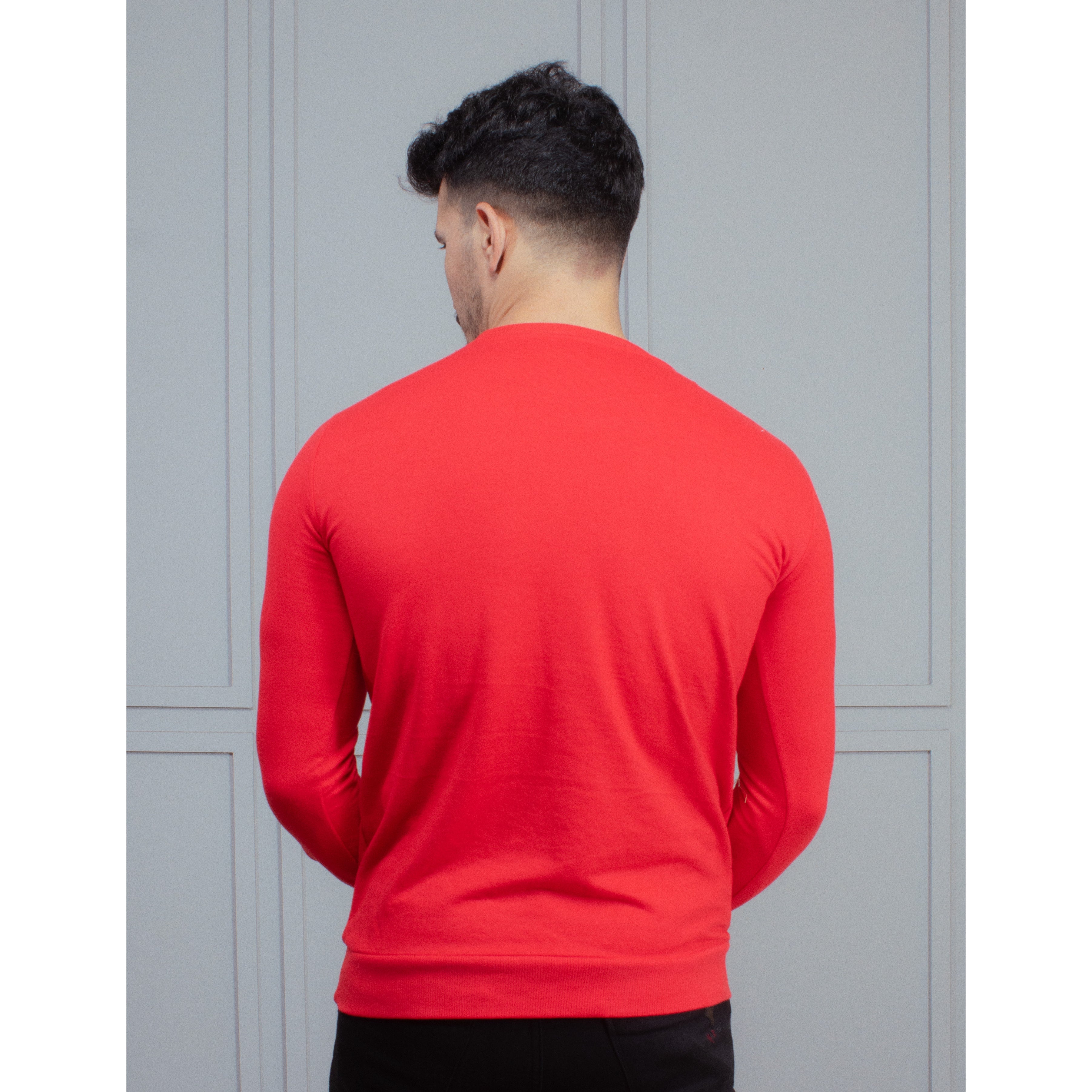 Mens Sweatshirt (Champion)