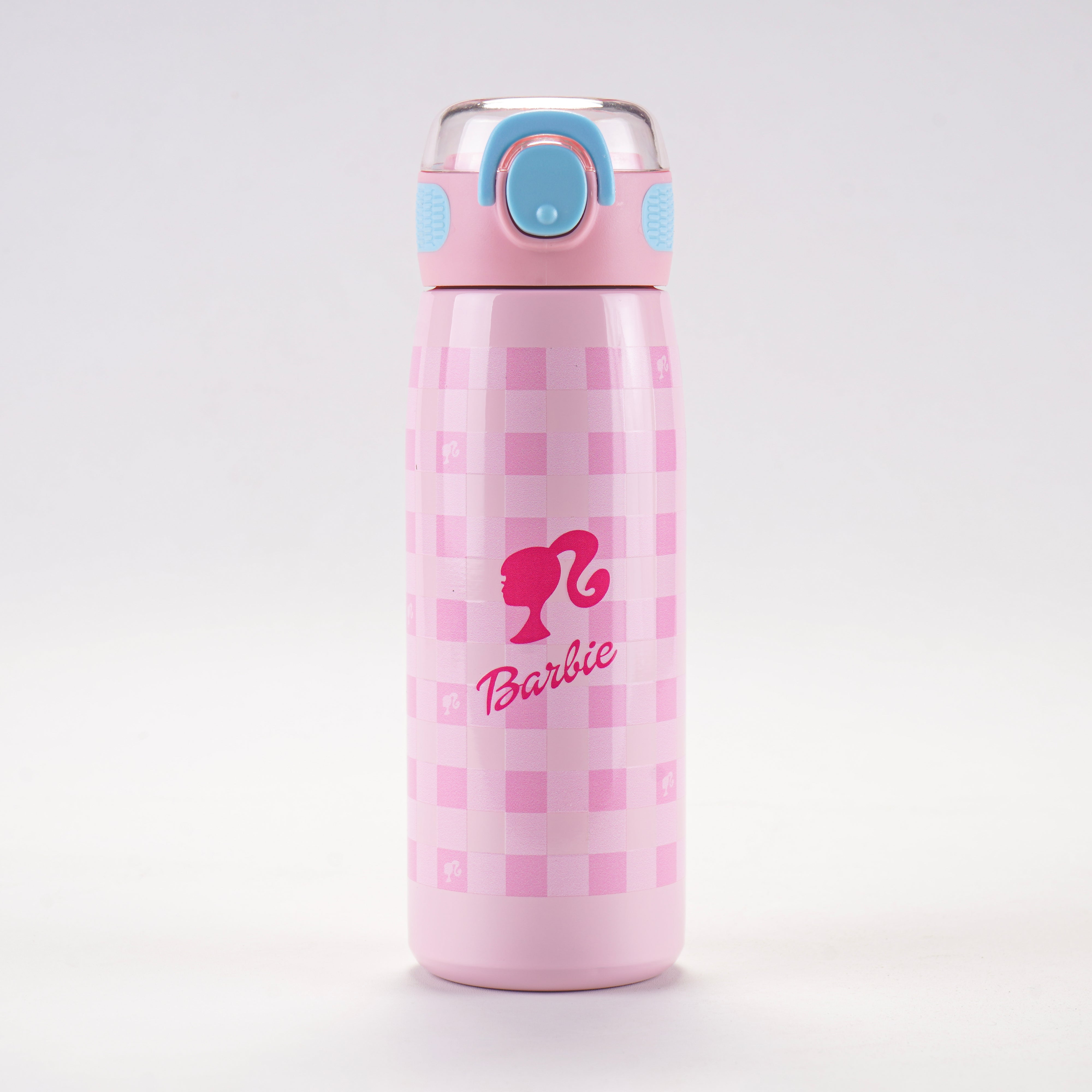 Steel Water Bottle