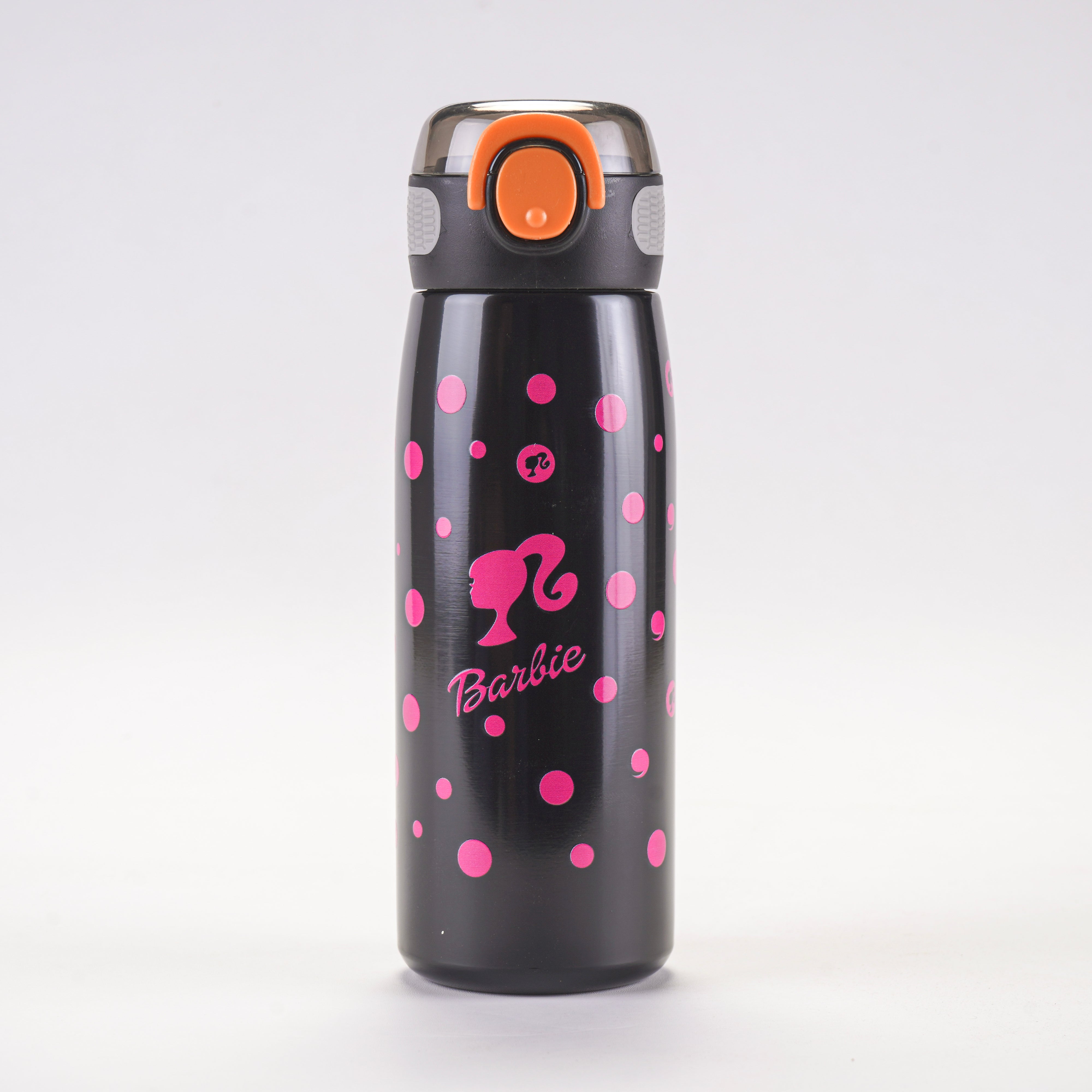Steel Water Bottle