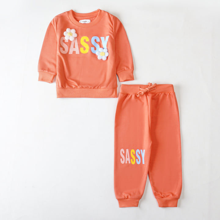 Girls Terry Printed Full Sleeve Suit