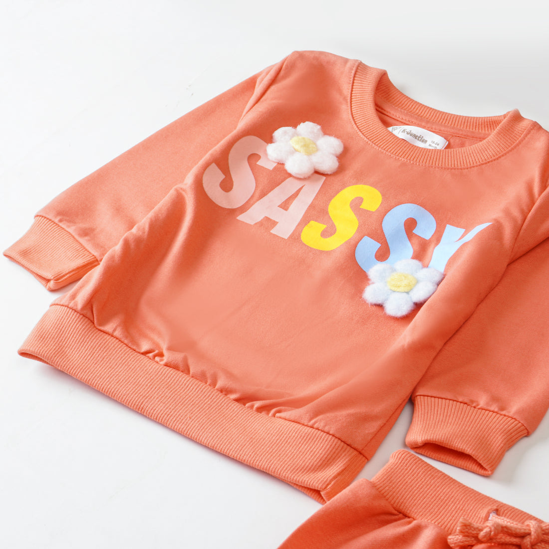 Girls Terry Printed Full Sleeve Suit