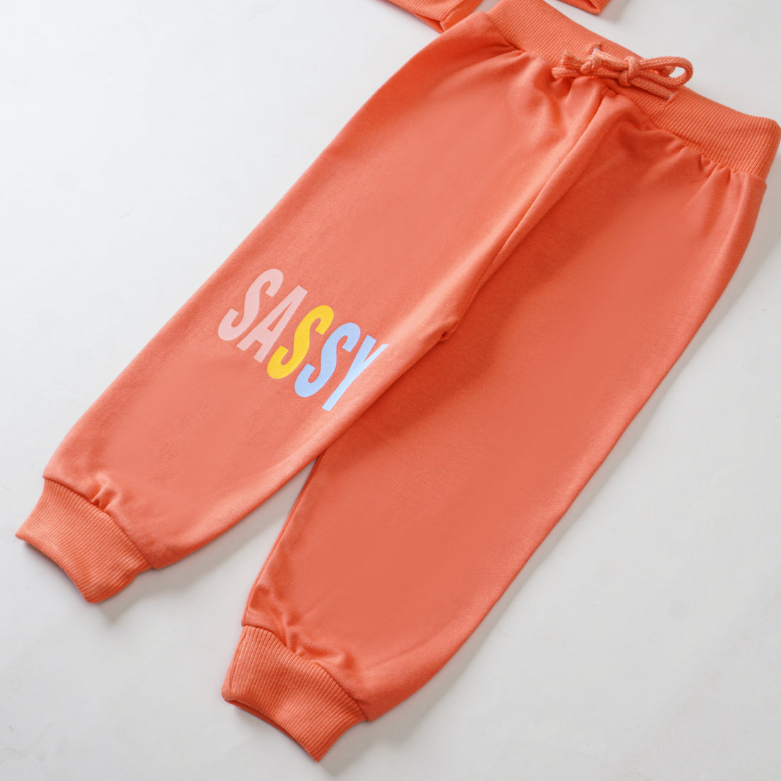 Girls Terry Printed Full Sleeve Suit
