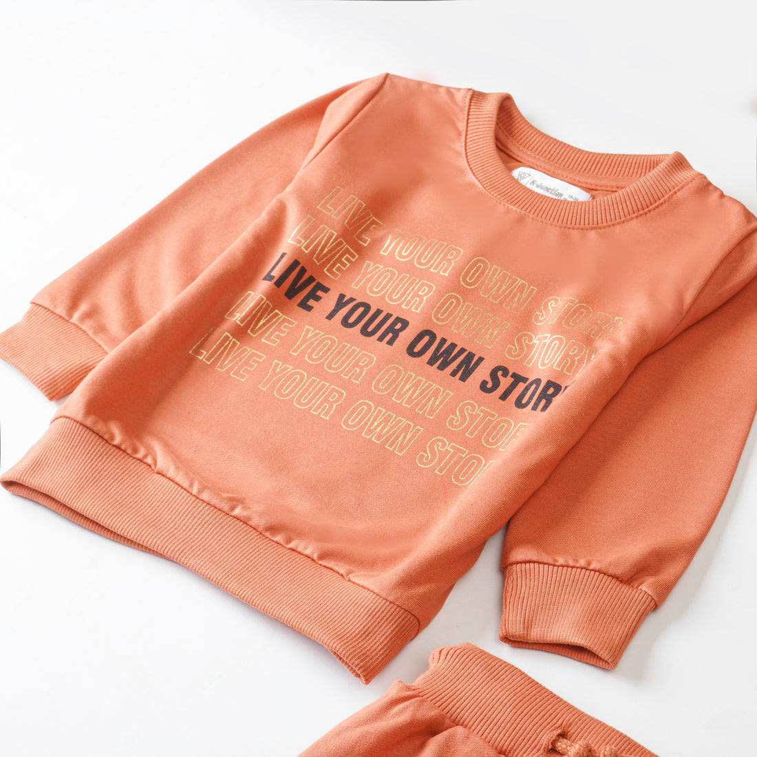 Girls Terry Printed Full Sleeve Suit