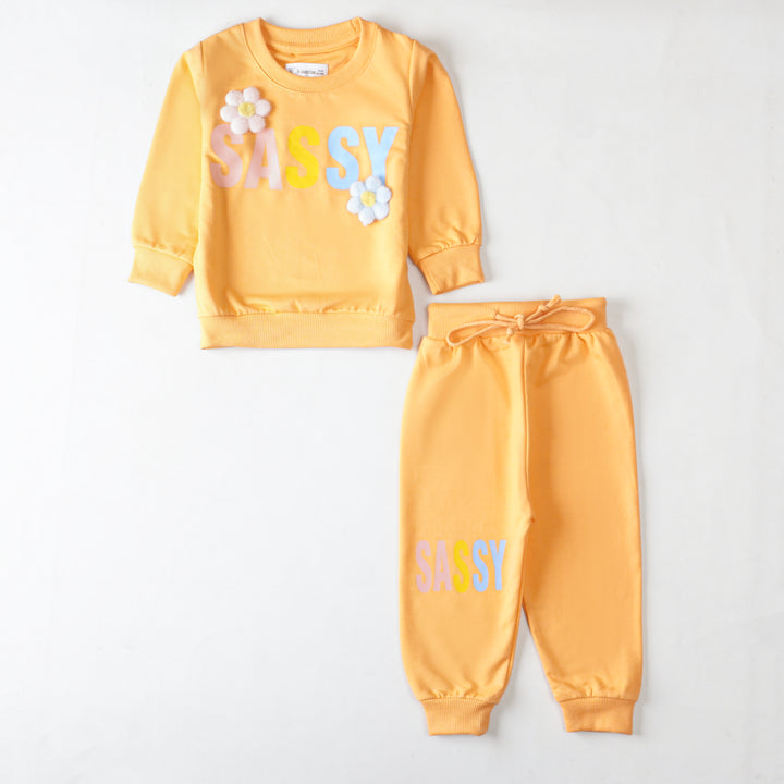 Girls Terry Printed Full Sleeve Suit
