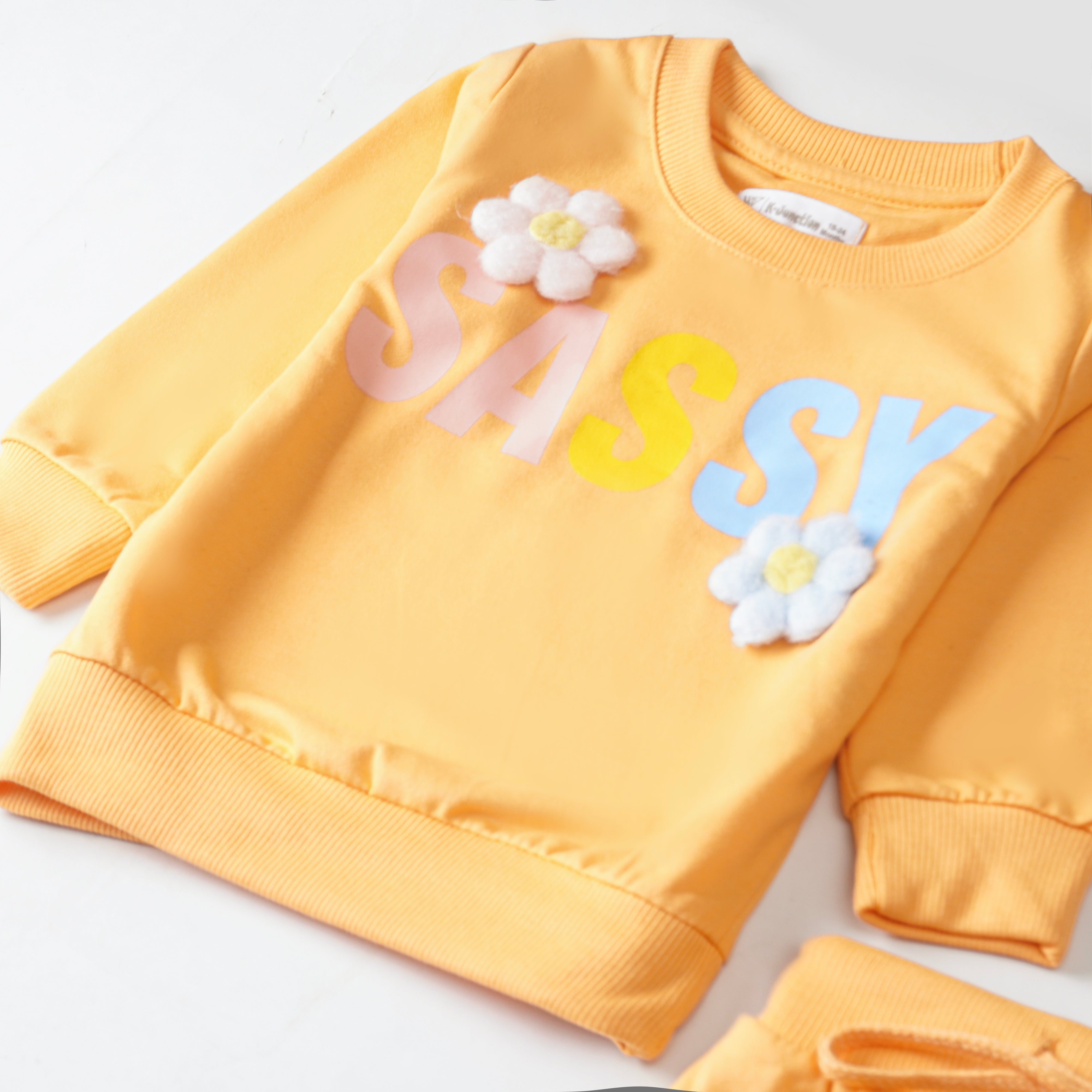 Girls Terry Printed Full Sleeve Suit