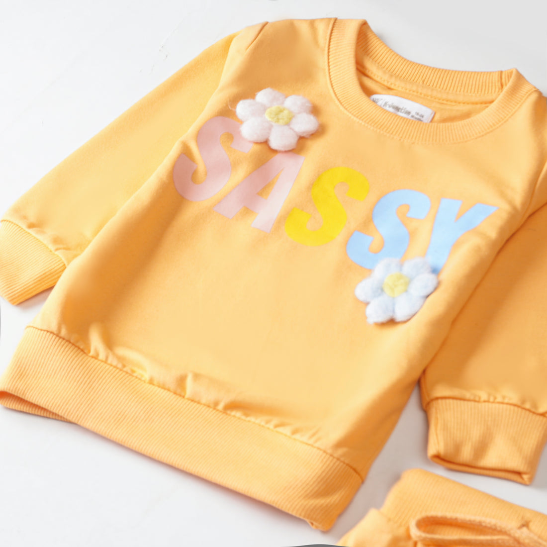 Girls Terry Printed Full Sleeve Suit