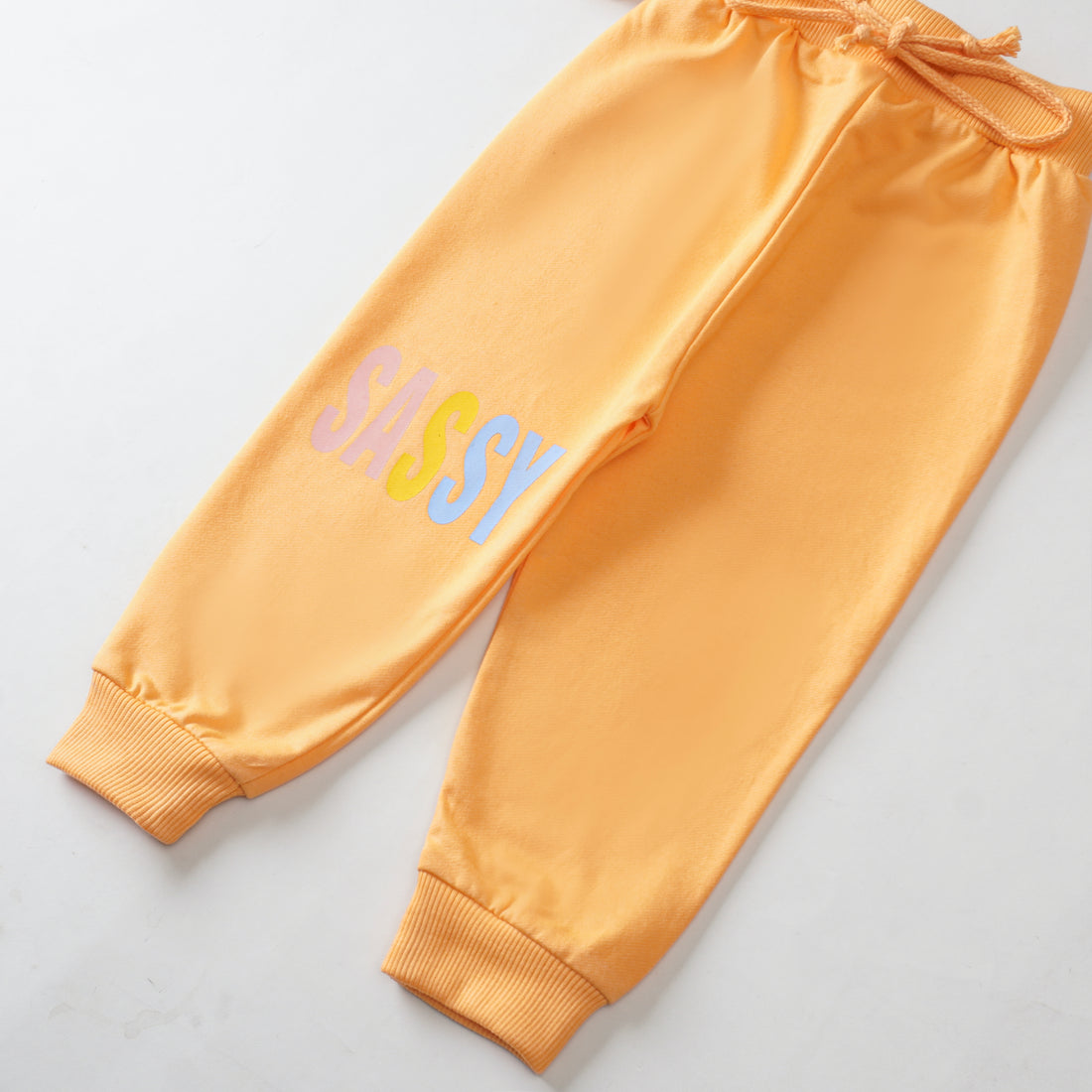 Girls Terry Printed Full Sleeve Suit