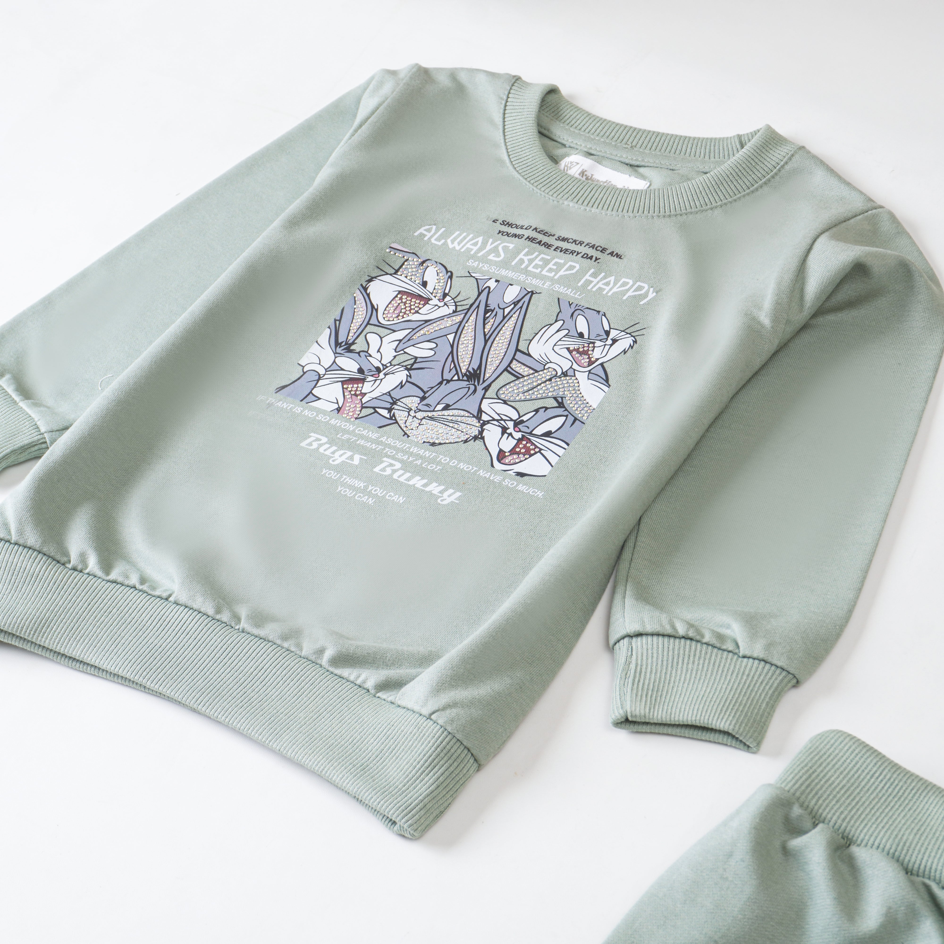 Girls Terry Printed Full Sleeve Suit