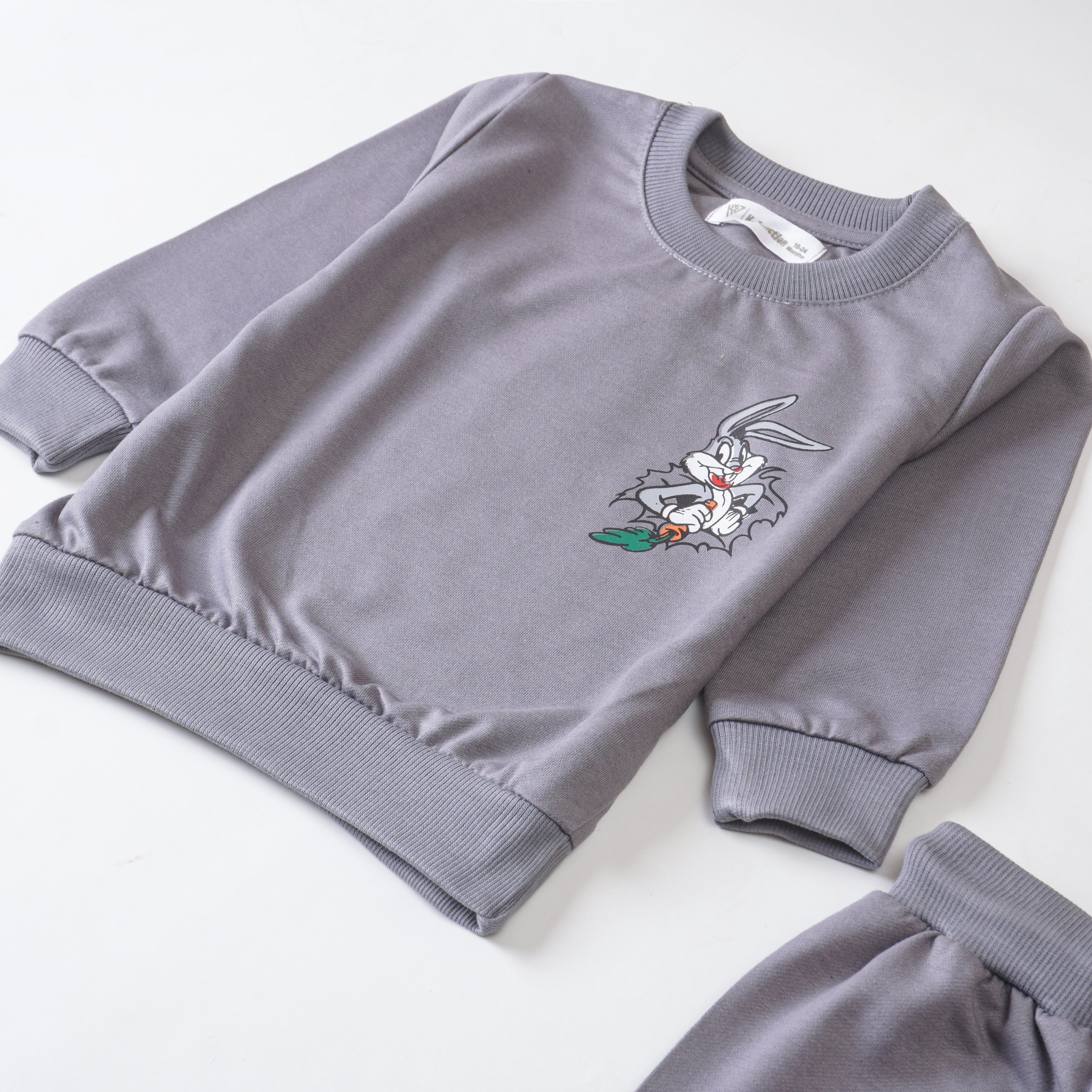 Boys Terry Printed Full Sleeve Suit