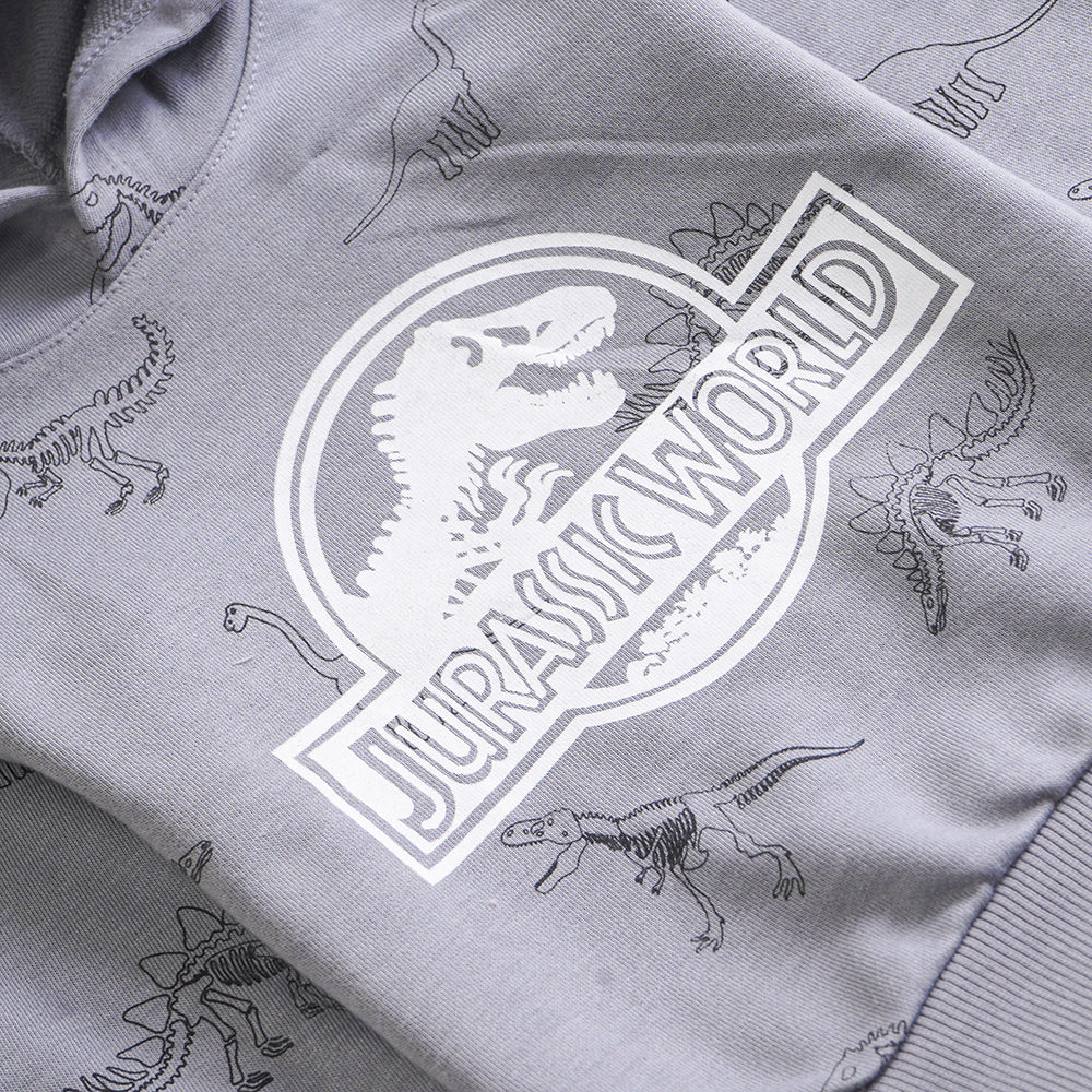 Boys Sweat Shirt
