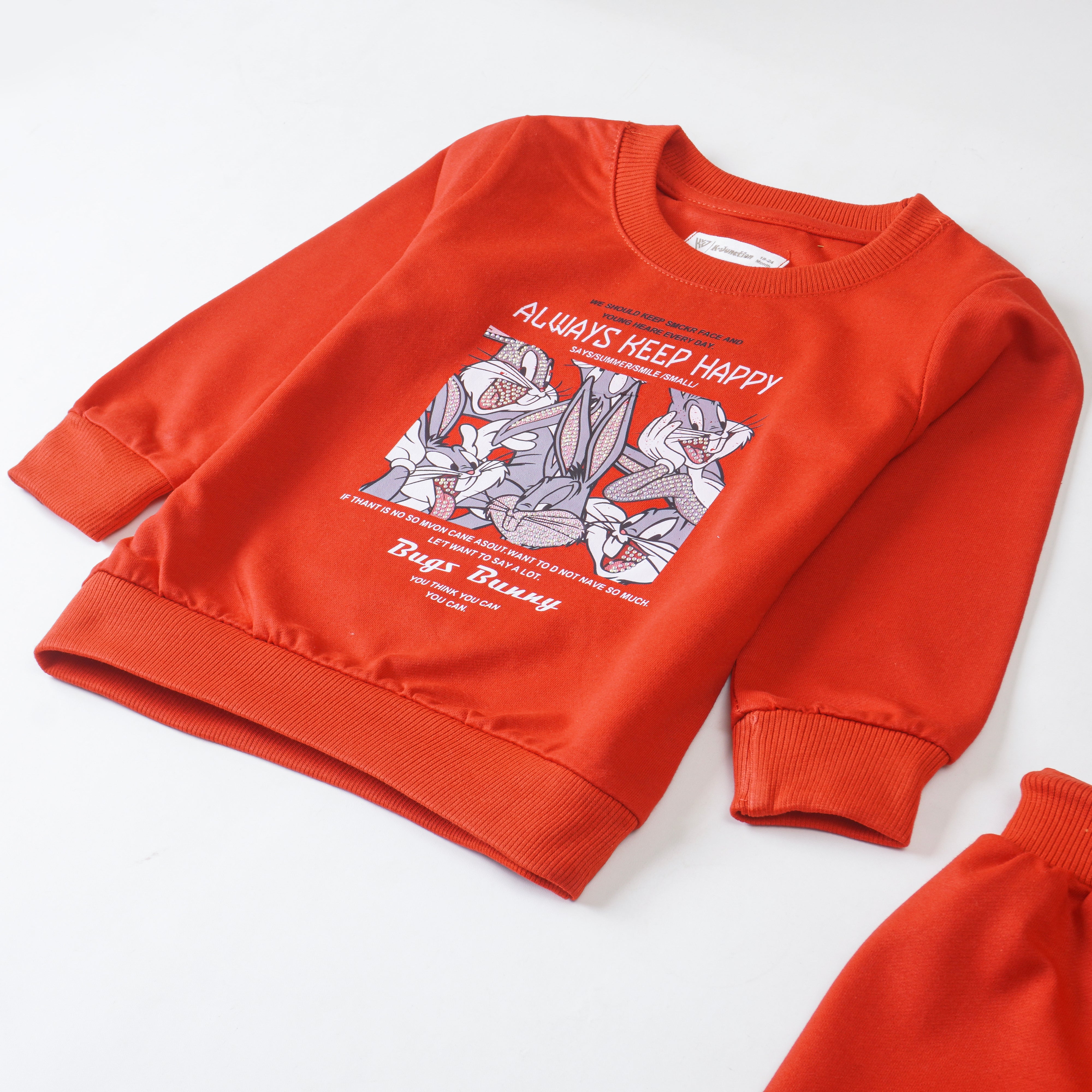 Girls Terry Printed Full Sleeve Suit