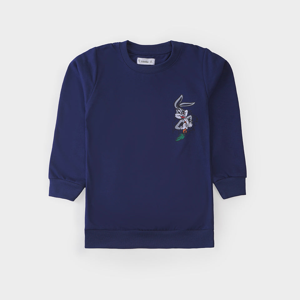 Boys Sweat Shirt