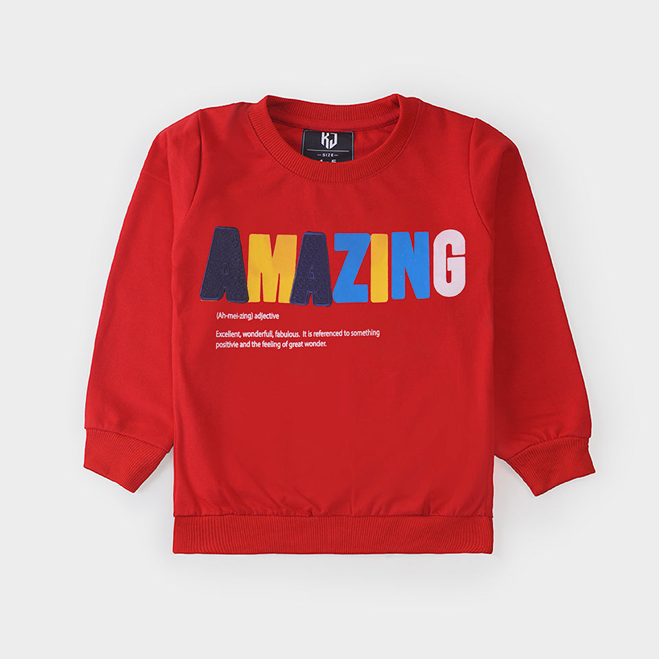 Boys Terry Sweat Shirt
