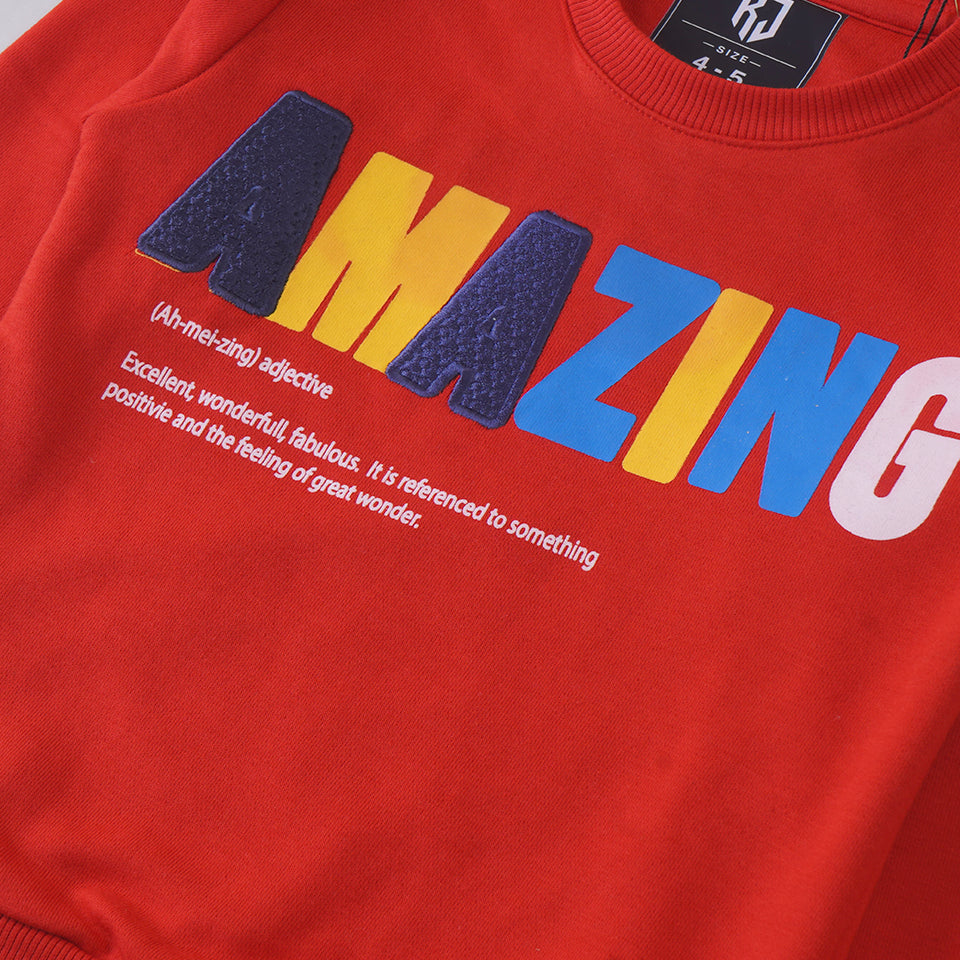 Boys Terry Sweat Shirt