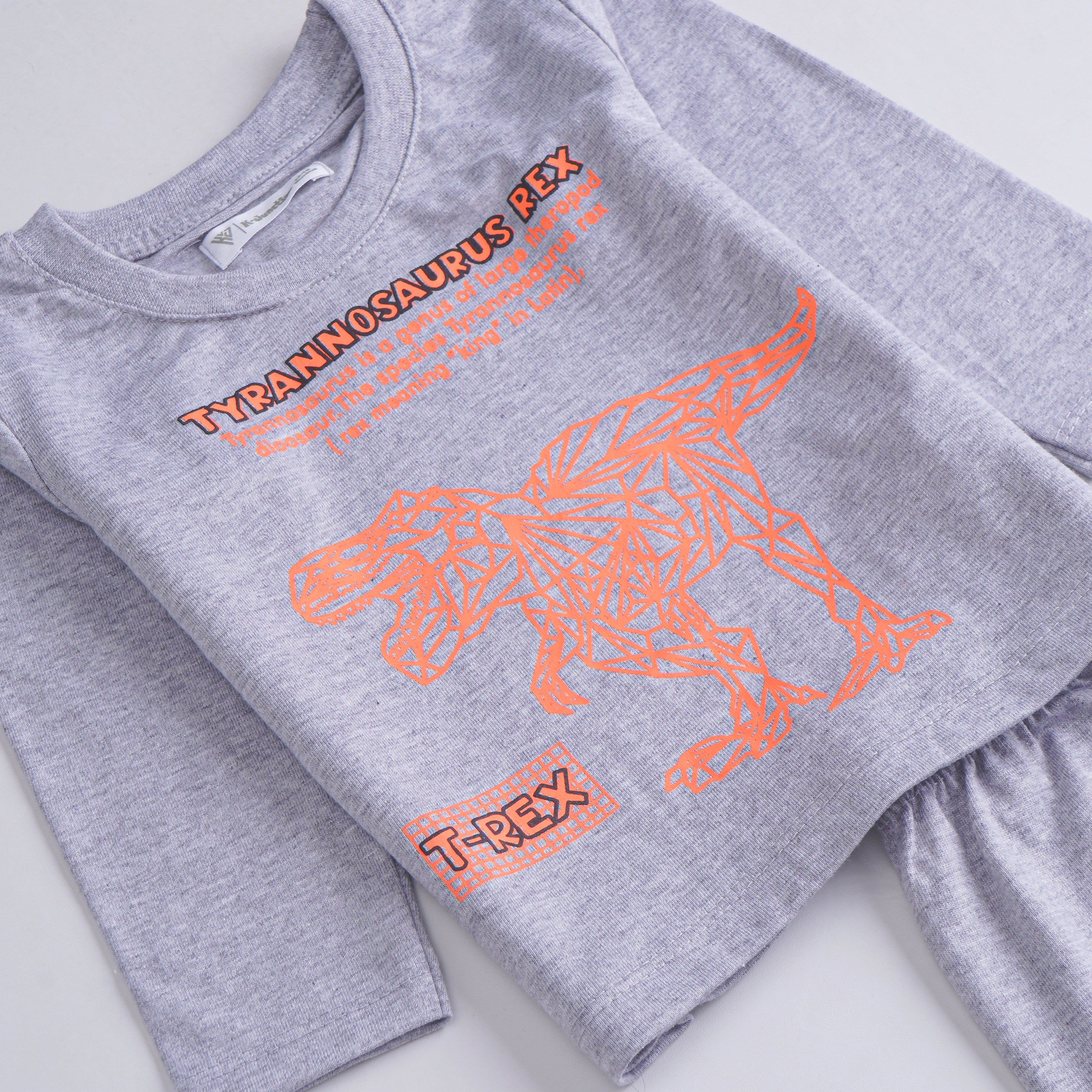 Boys Printed Full Sleeve Suit (Tyrranossorus)
