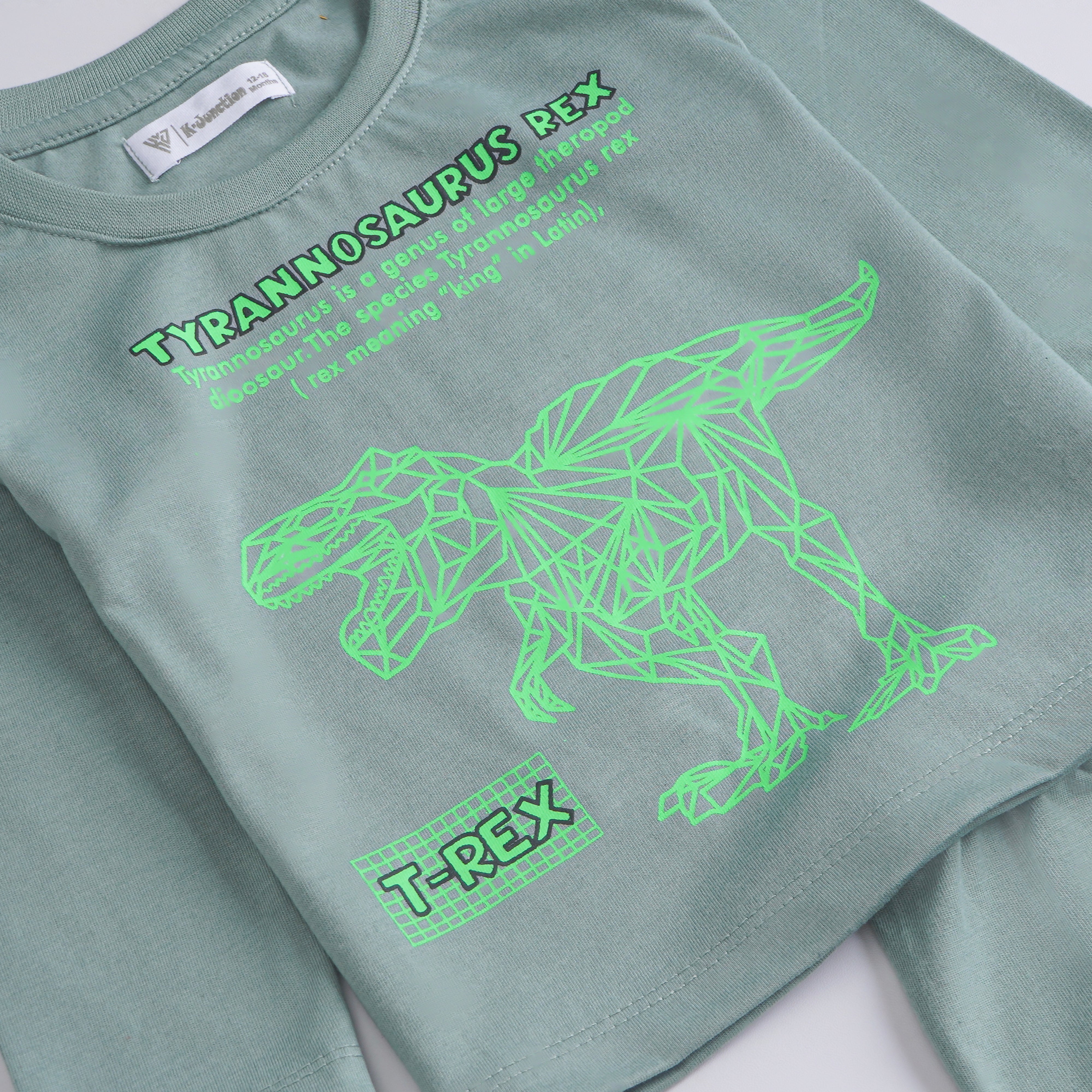 Boys Printed Full Sleeve Suit (Tyrranossorus)