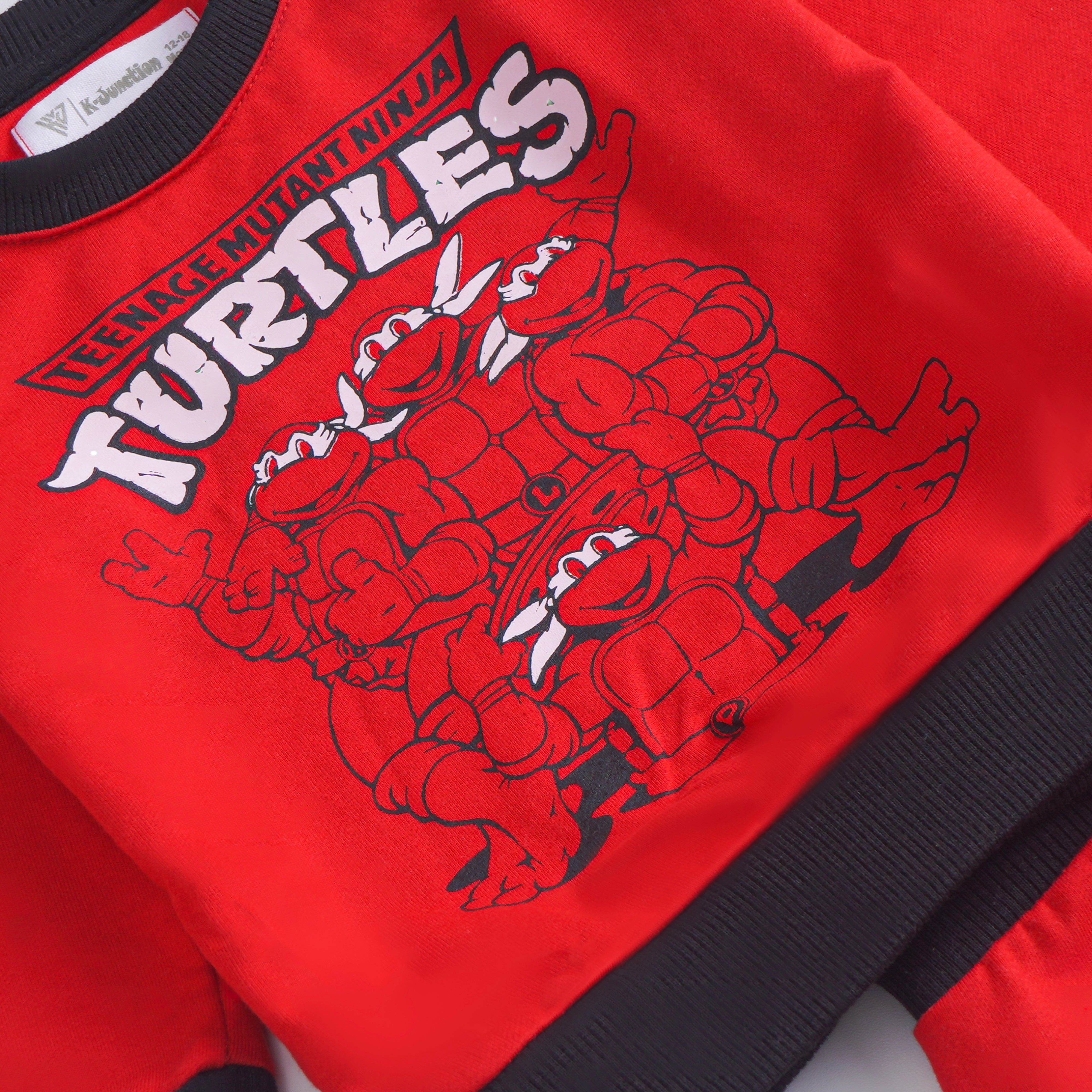 Boys Printed Full Sleeve Suit (Turtles)