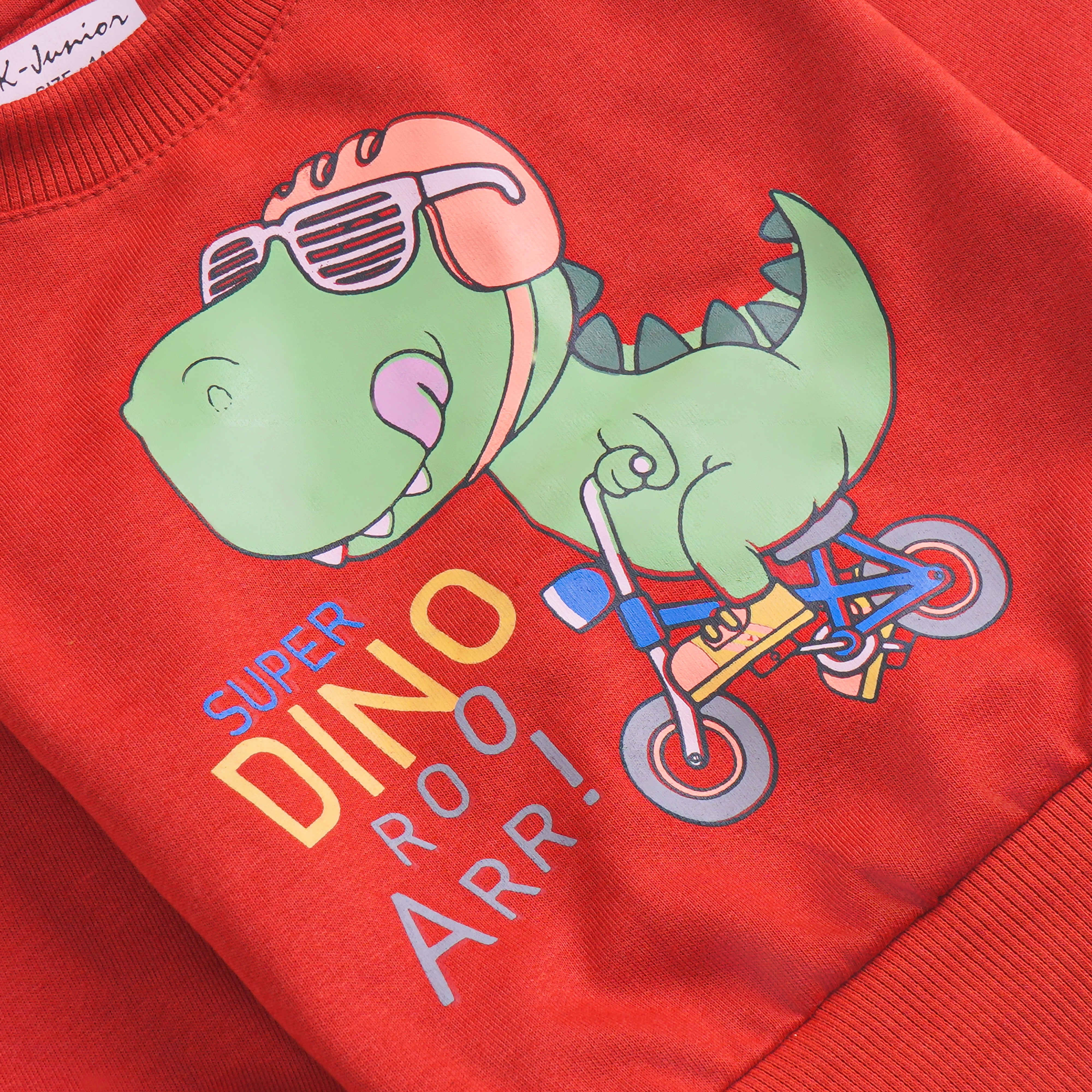 Boys Printed Full Sleeve Sweat T-Shirt (Dino)