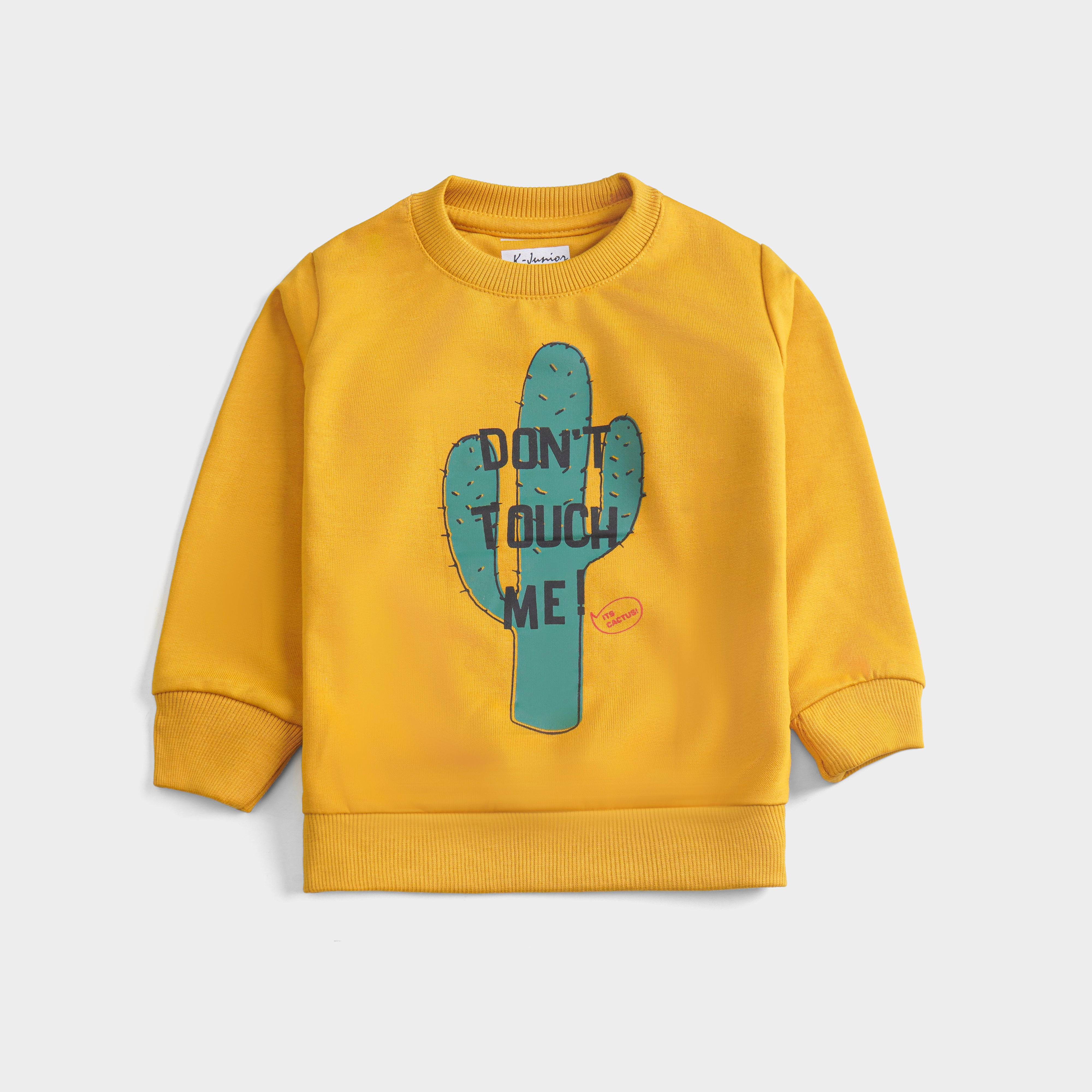 Boys Printed Full Sleeve Sweat T-Shirt (Don't-Touch-Me)