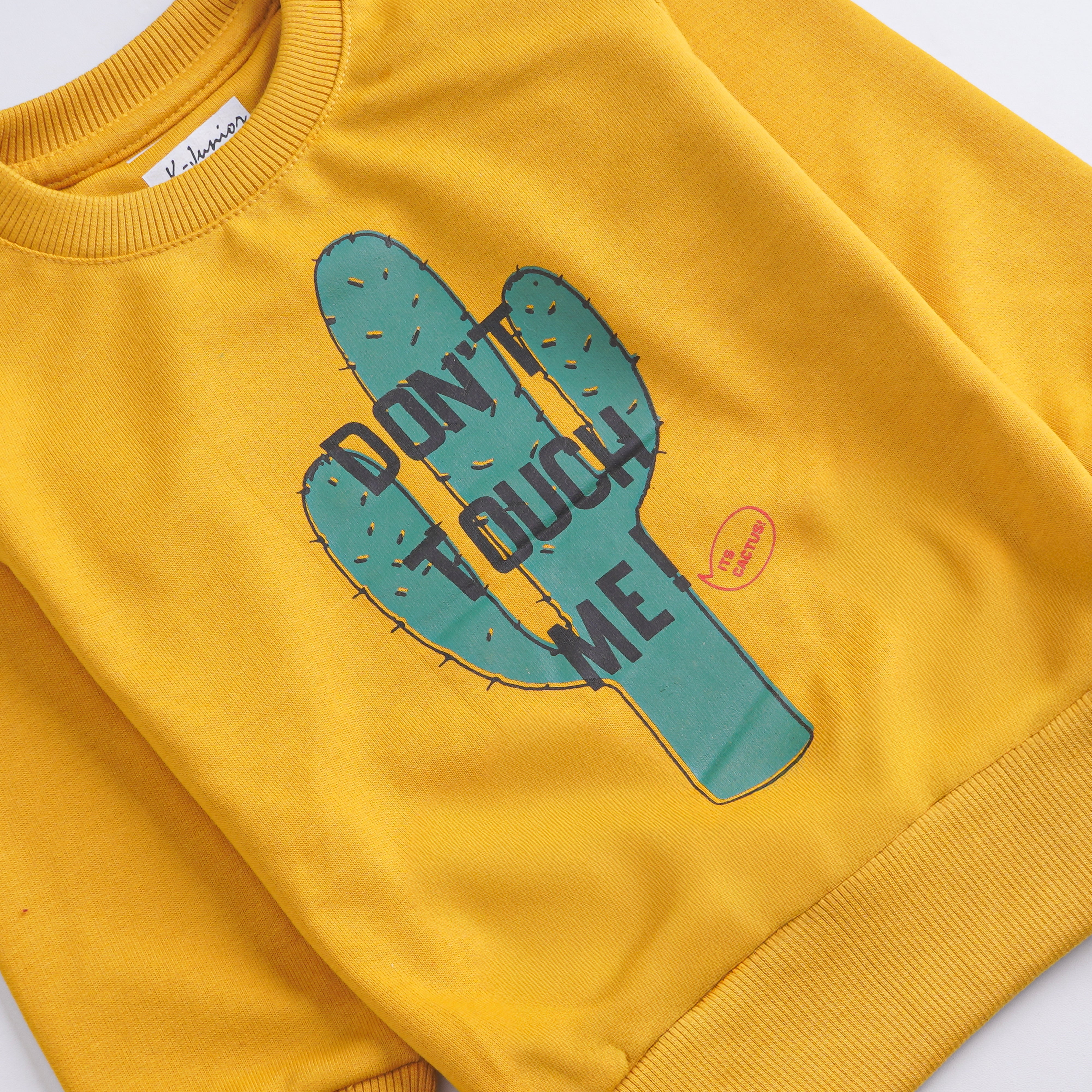 Boys Printed Full Sleeve Sweat T-Shirt (Don't-Touch-Me)