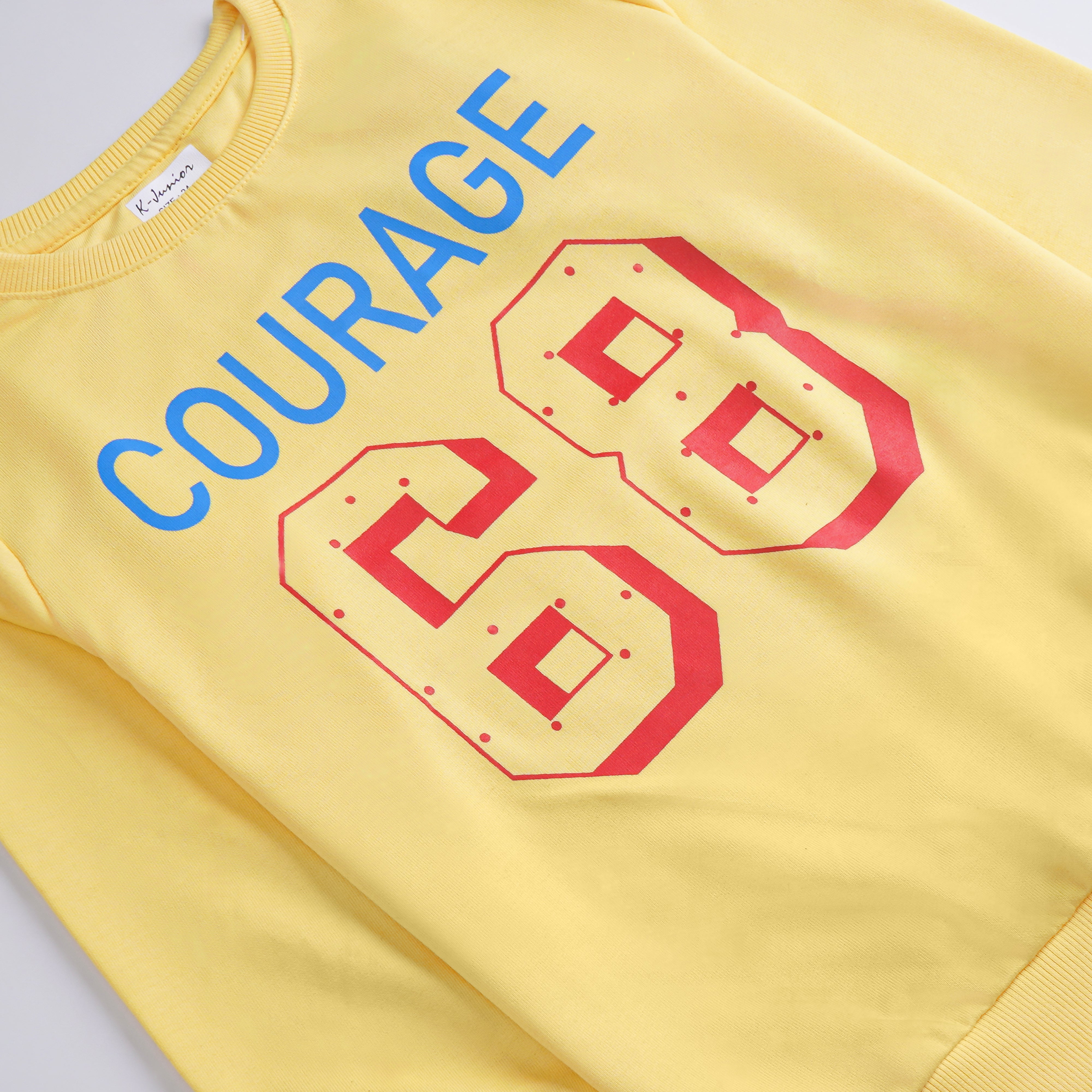 Boys Printed Full Sleeve SweatShirt (courage)